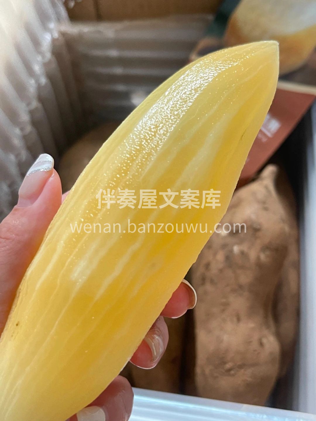 🍃仙气飘飘的雪莲果😍 🍭拥有雪梨般的清甜 配图3