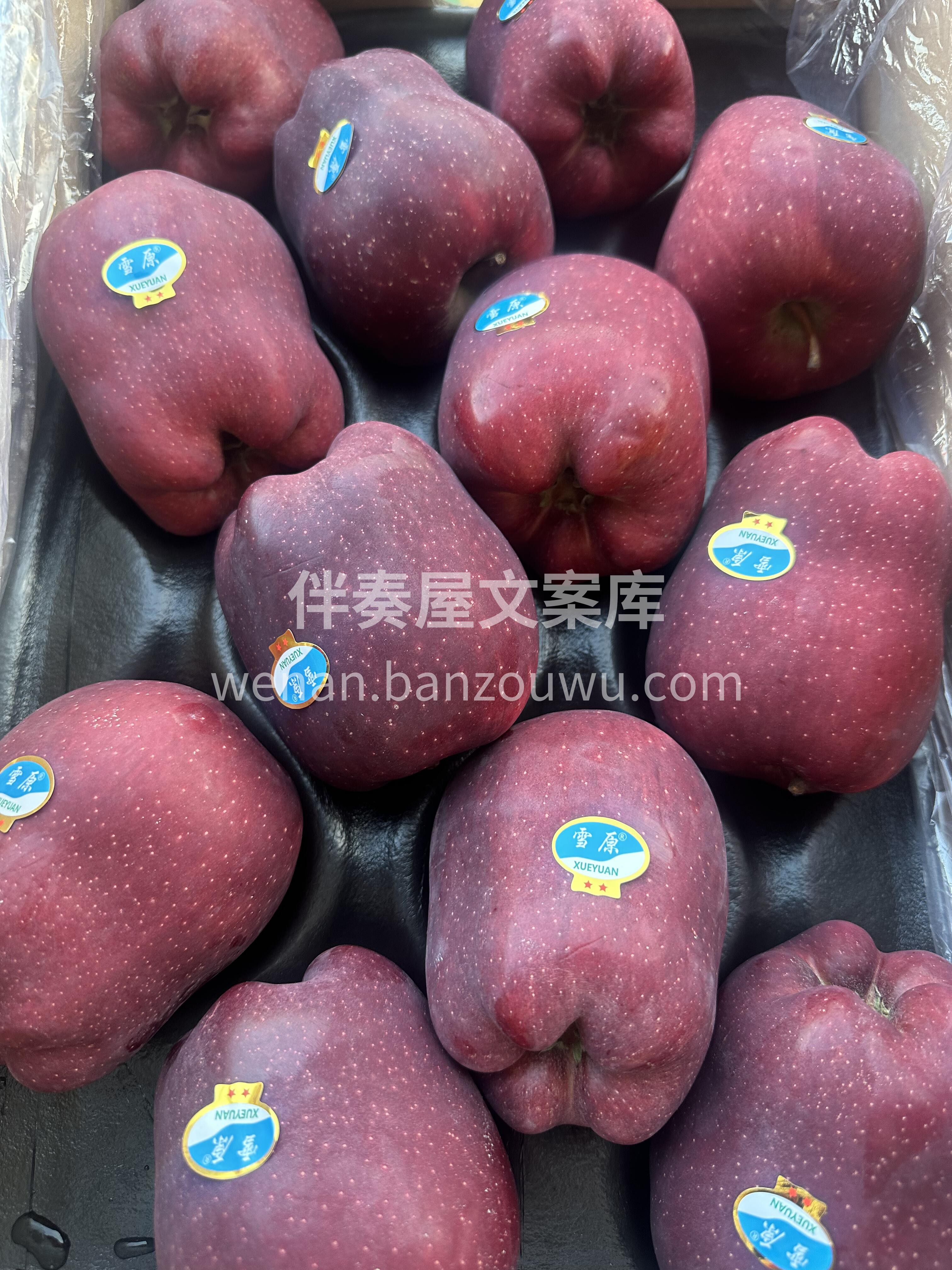 🌸不管春夏秋冬❄️ 小店的果子永远甜度在 配图2