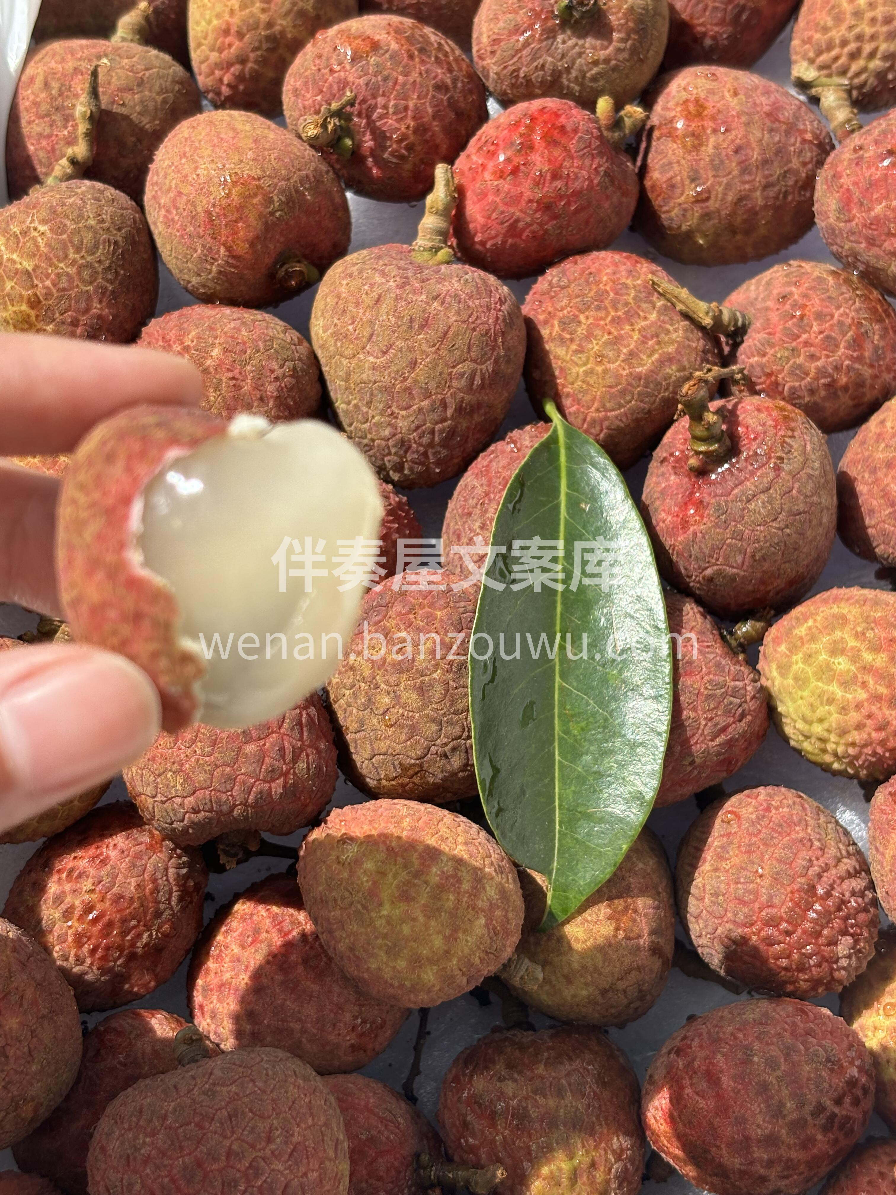 果肉如羊脂般，宛若凝脂🤍白嫩像个奶味果冻 配图2