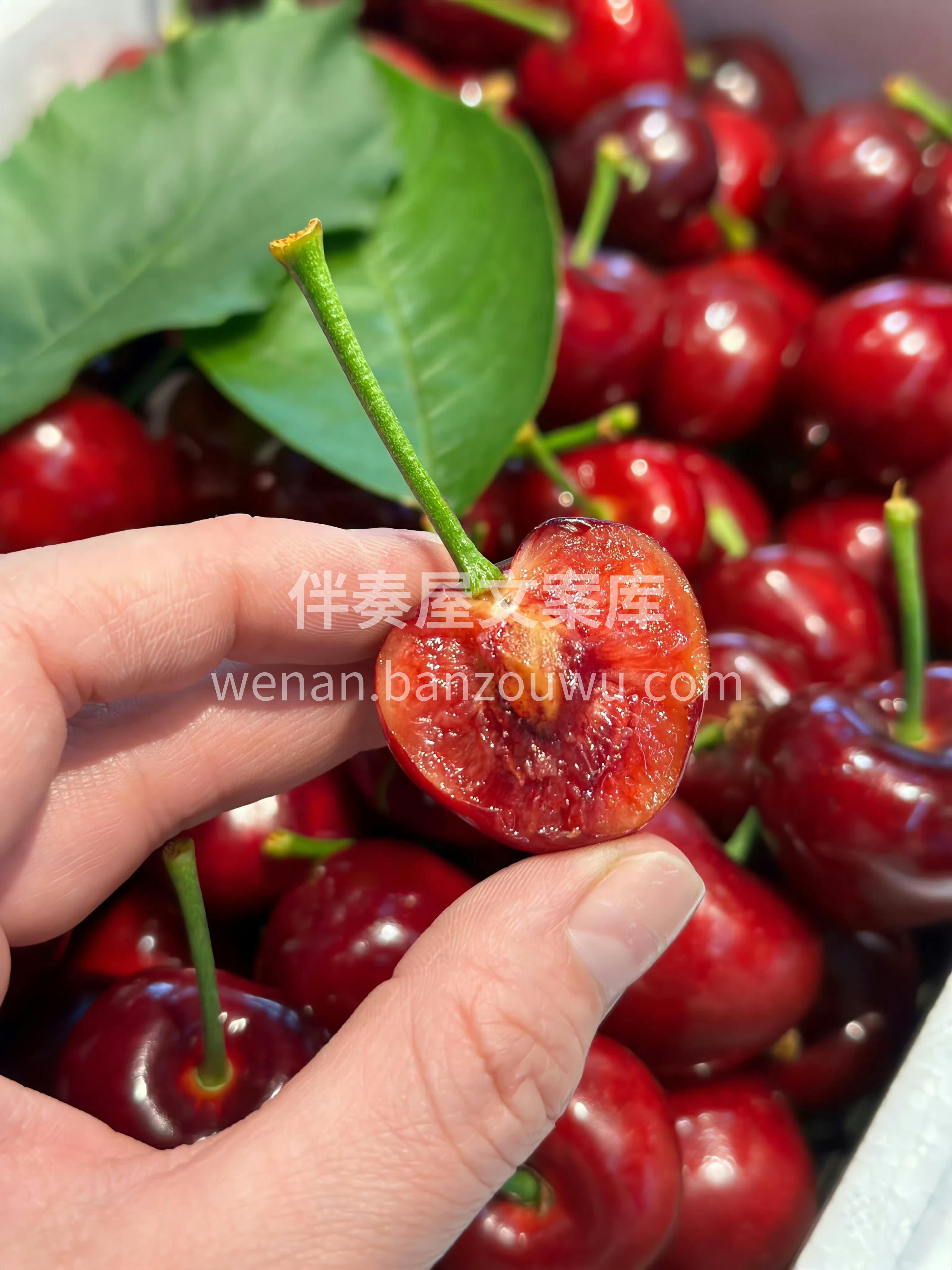 🍒五月樱桃火热上线！ 颗颗爆甜，美早樱桃 配图1