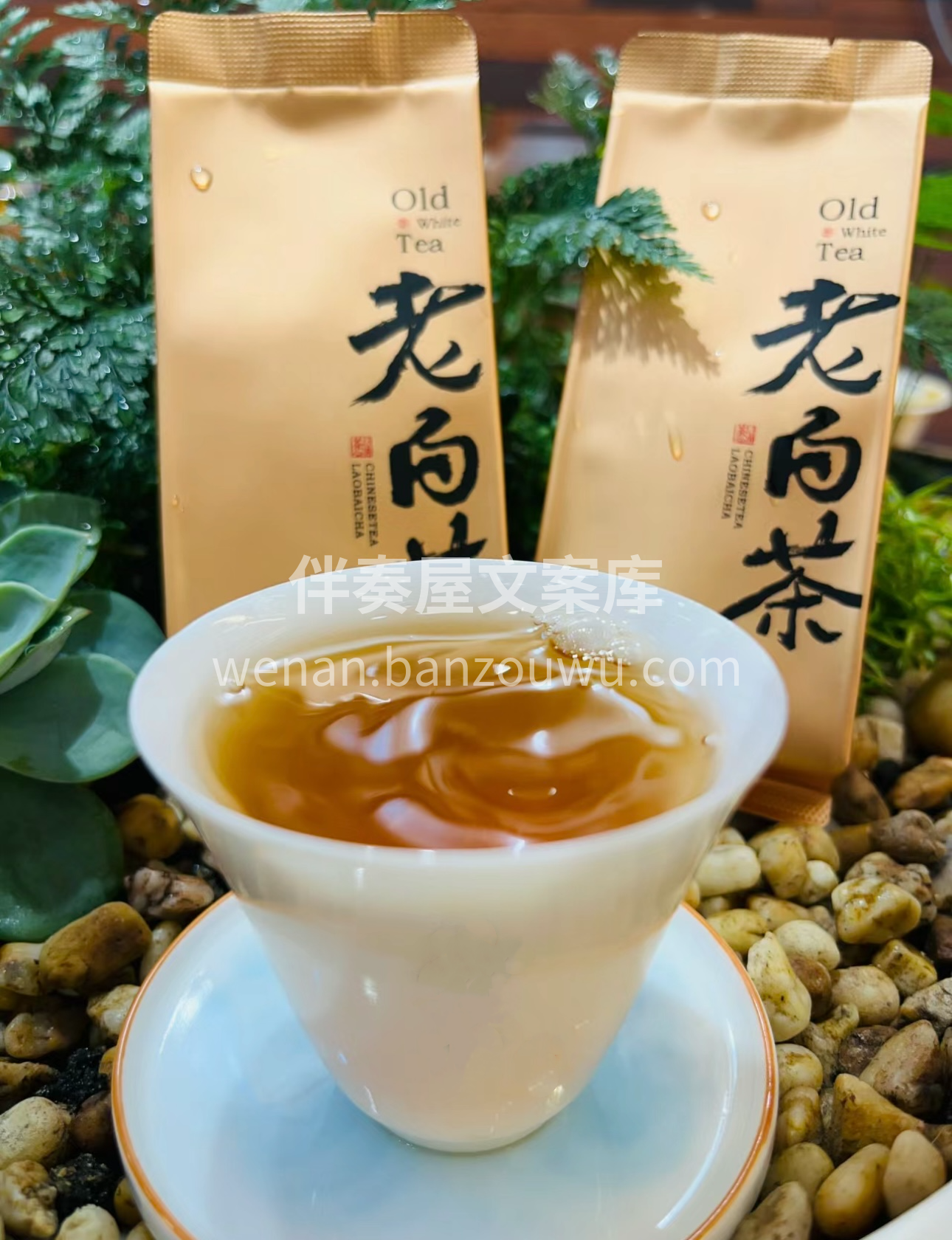 品老白茶，悟岁月情。历经沧桑，陈香悠然。 配图2