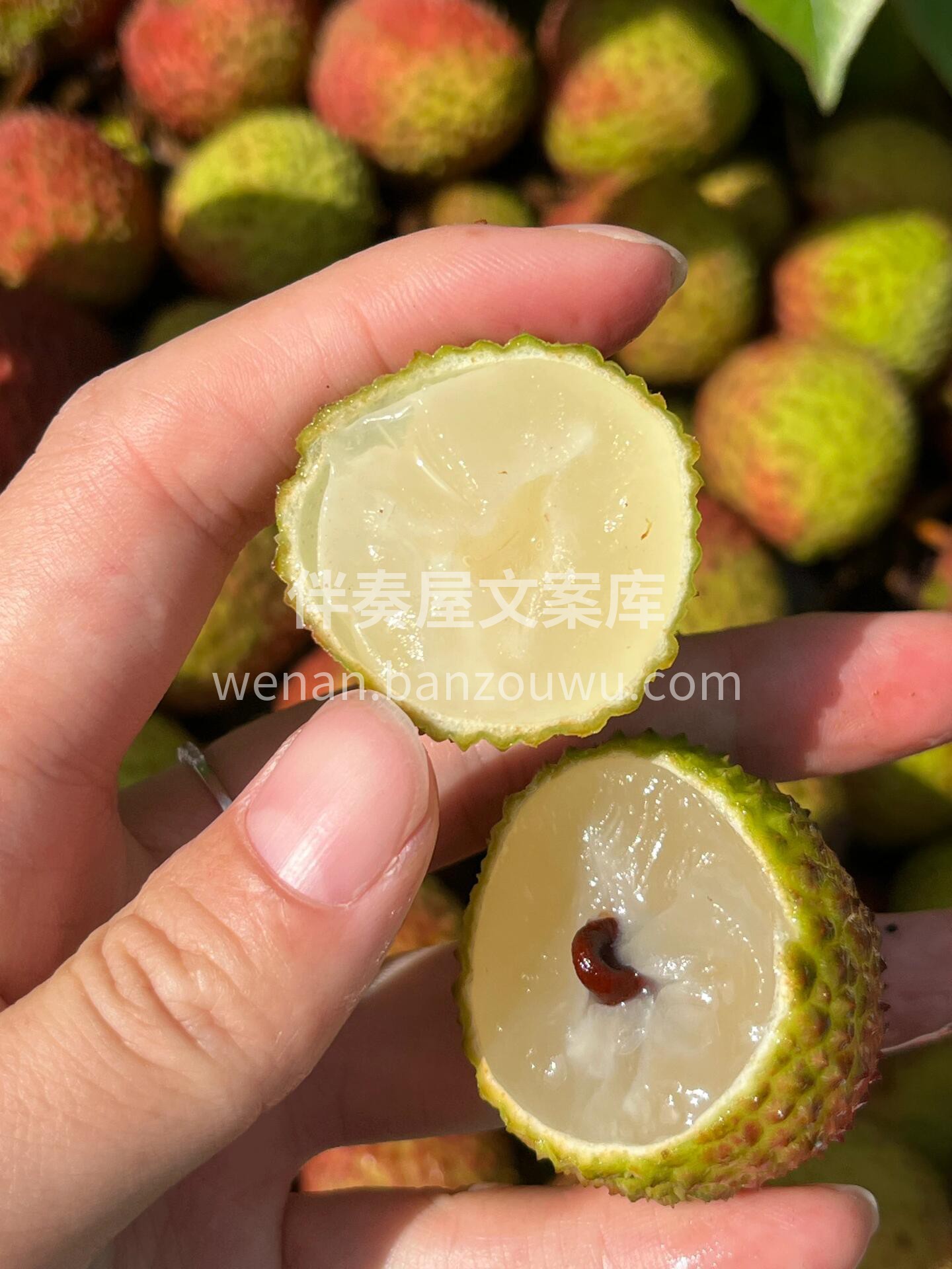 这个季节，想和你甜一夏🍃 💥初夏限定爆款 配图1