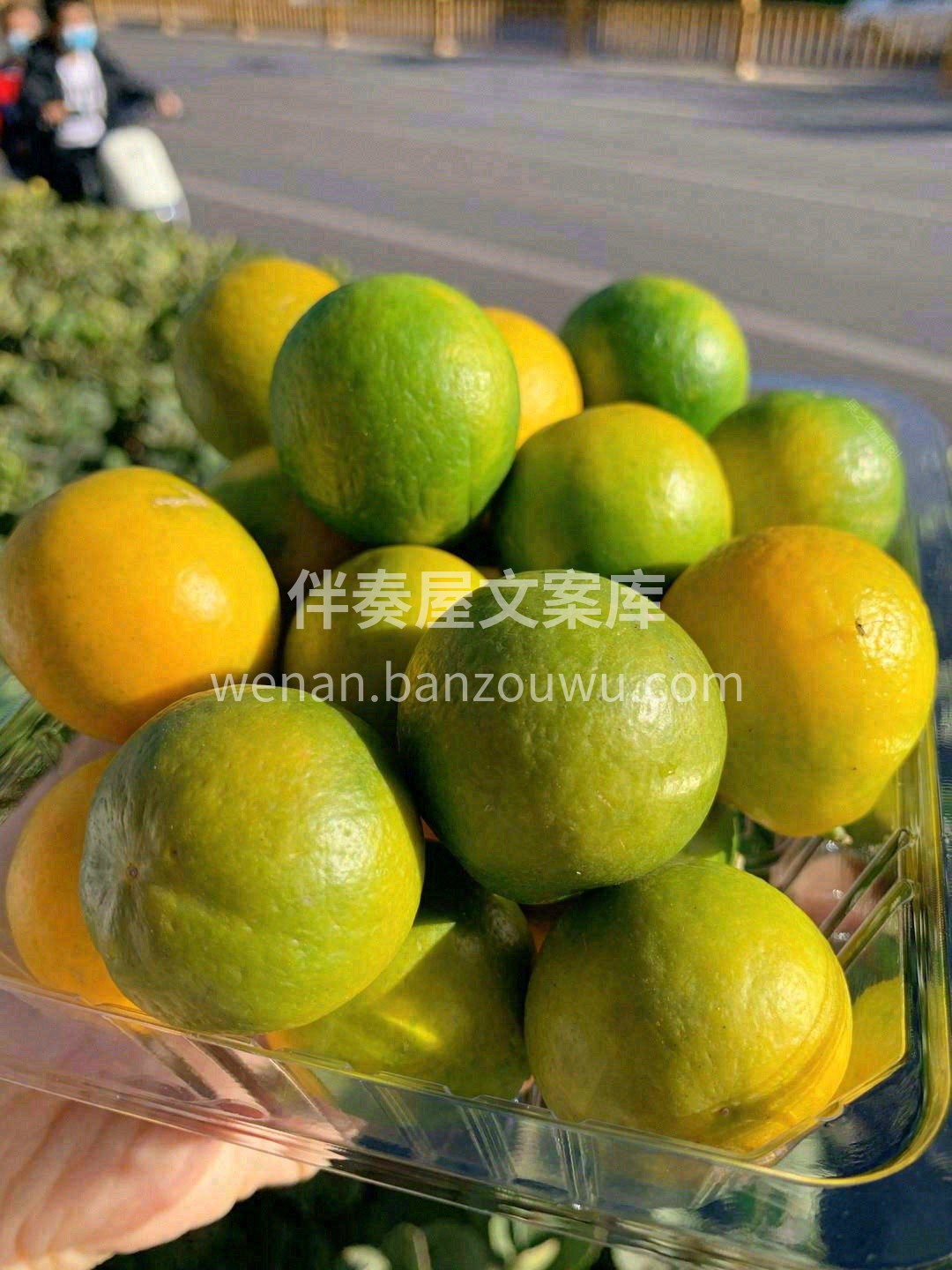 冰糖心脆皮金桔，又甜又多汁🌊。 一口下去 配图3