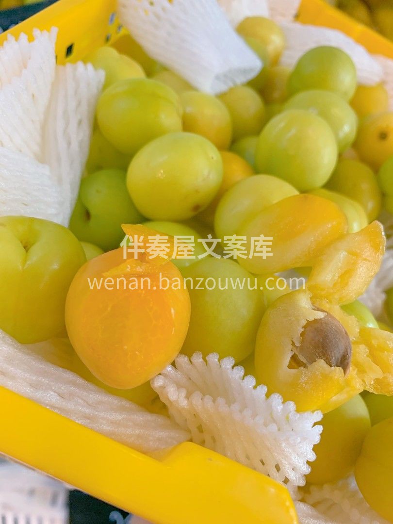 这个夏天，“杏”好遇见你👫 玲珑的新疆小 配图1
