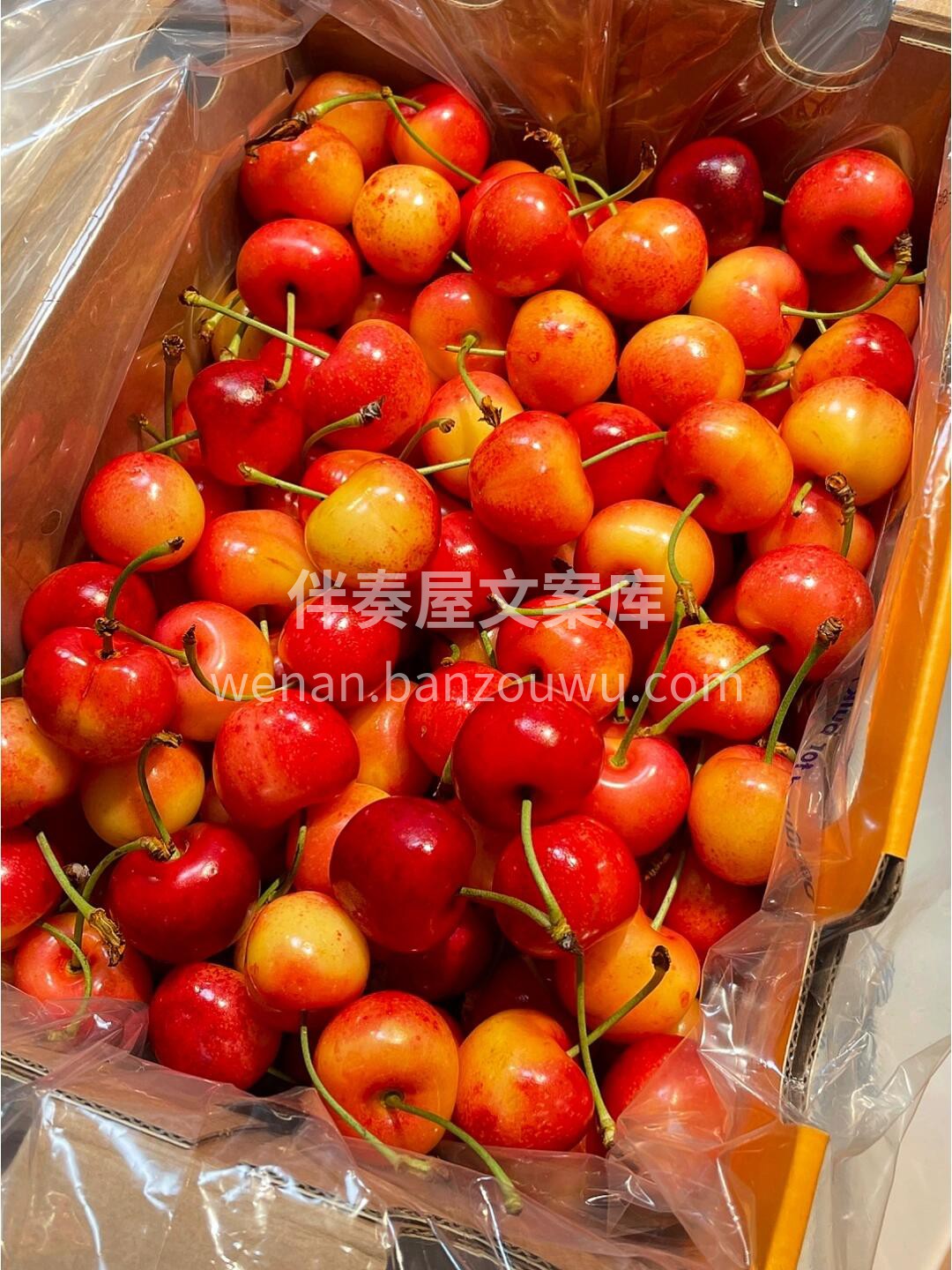 🌟进口黄金车厘子🍒新鲜到货 金色的果实， 配图3