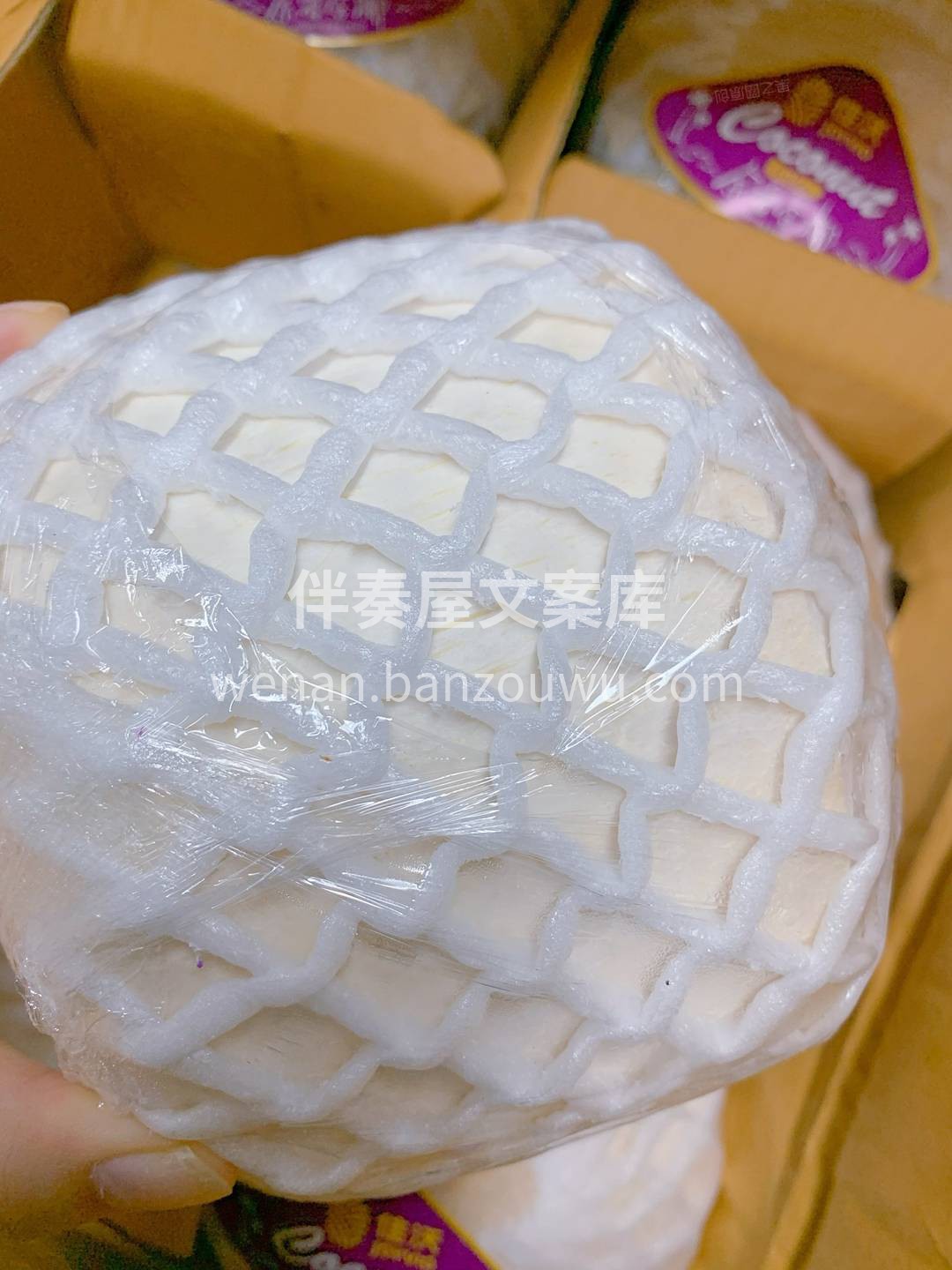 👉做一个完美的开椰子工具人，你喝我来开！ 配图2