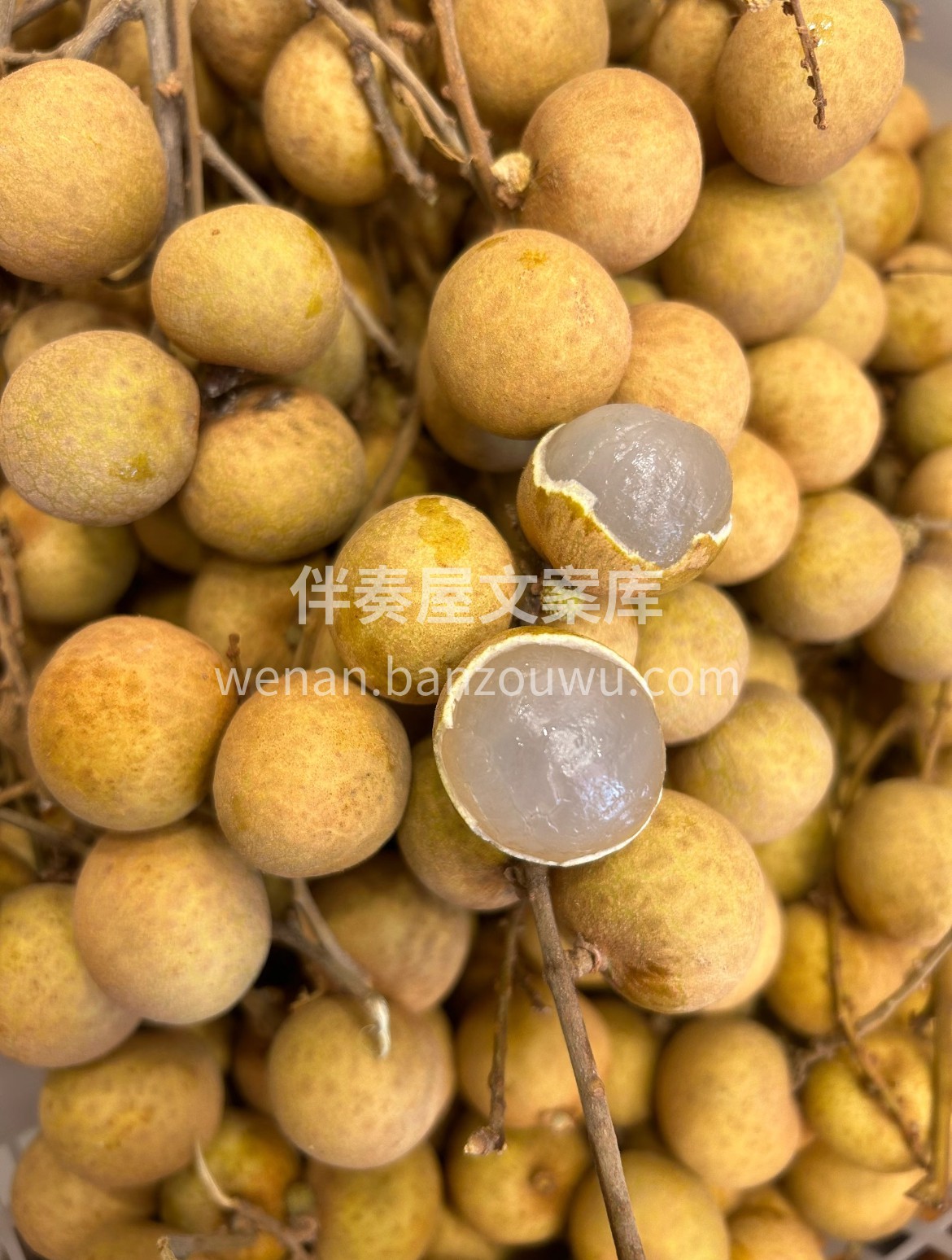 新鲜龙眼好货上线💯 哪一颗都是爆汁的甜啊 配图1