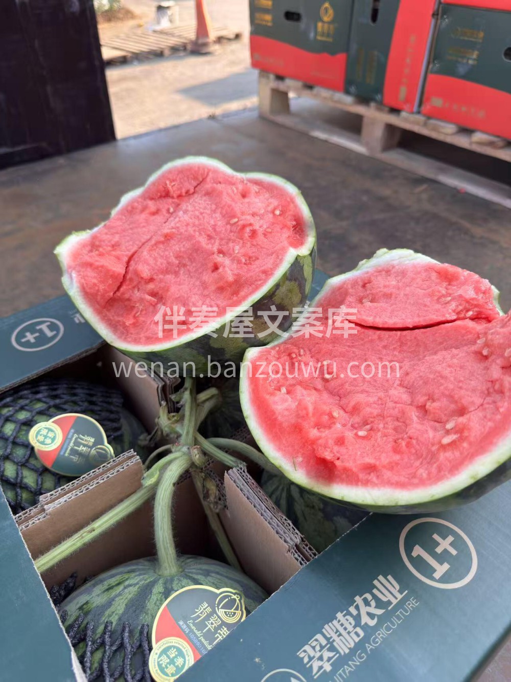 今日水果live翡翠蒂麒麟西瓜🍉 比李明 配图2