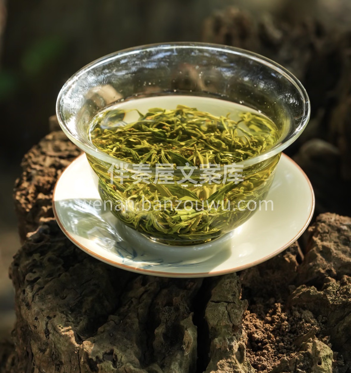 雪尽茶山青，春归毛尖香。以一杯清茗，敬新 配图3