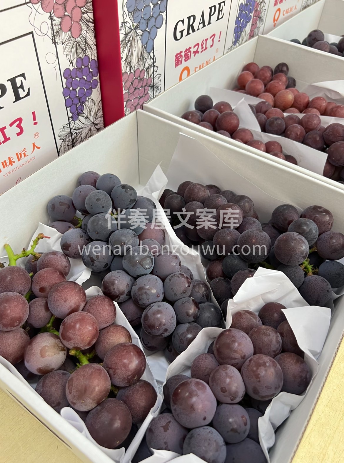 上新✨巨峰葡萄🍇 浓、醇、甜💥咬破果皮满 配图1