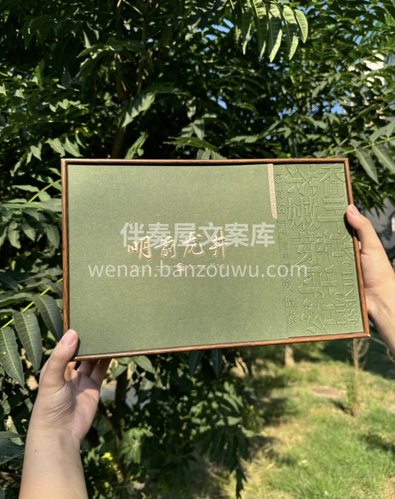 🍵哇塞！明前龙井茶来啦😍！ ✨它可是茶叶 配图2