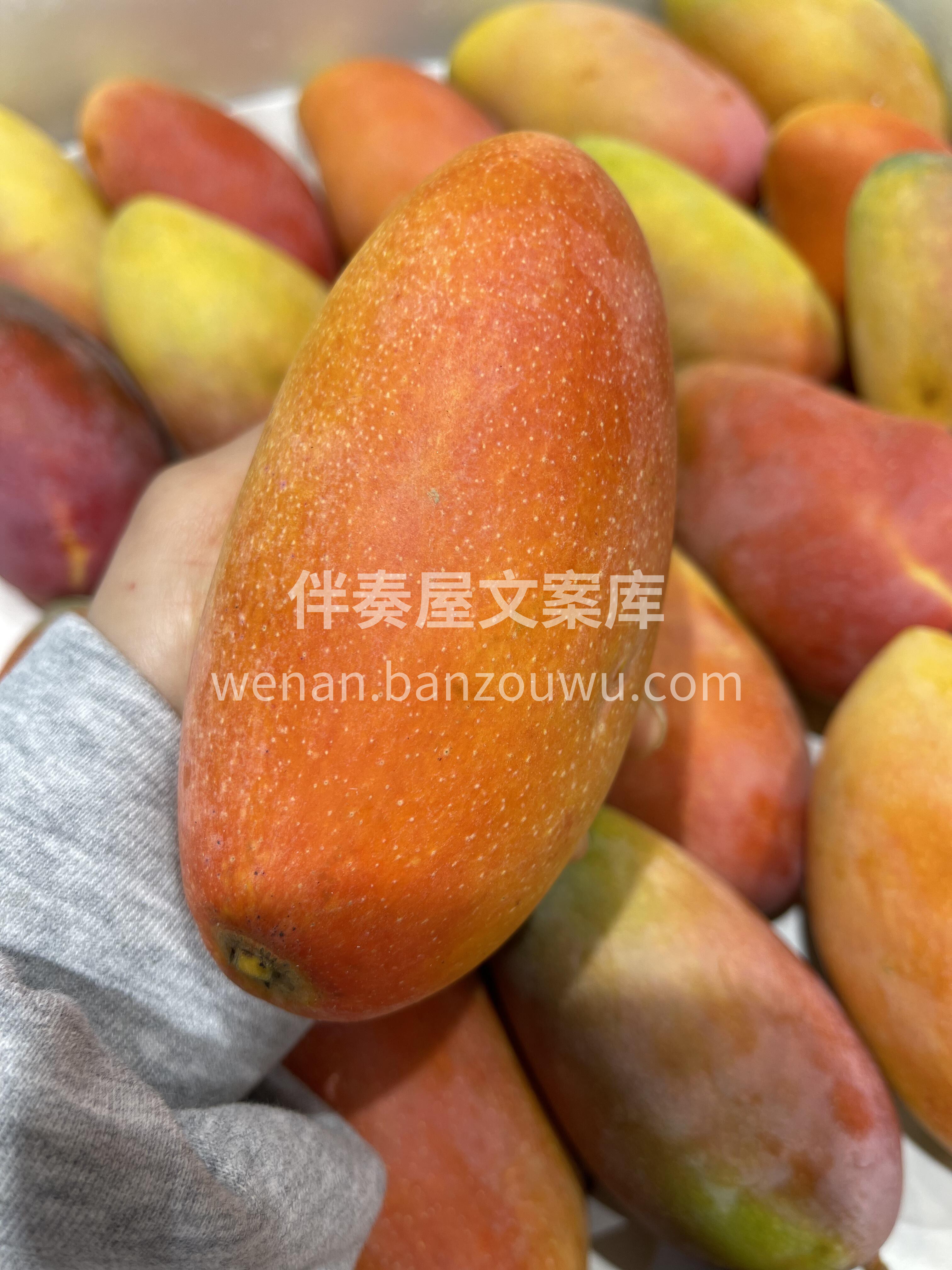 🦋果皮薄如蝉翼，捏一下就能撕开； 果核薄 配图1