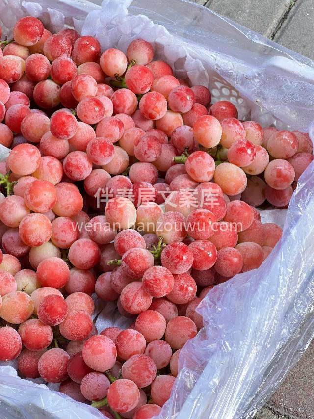 🍇 妮娜皇后📣📣 ✨盛夏的妮娜皇后🍇🍇脆 配图3