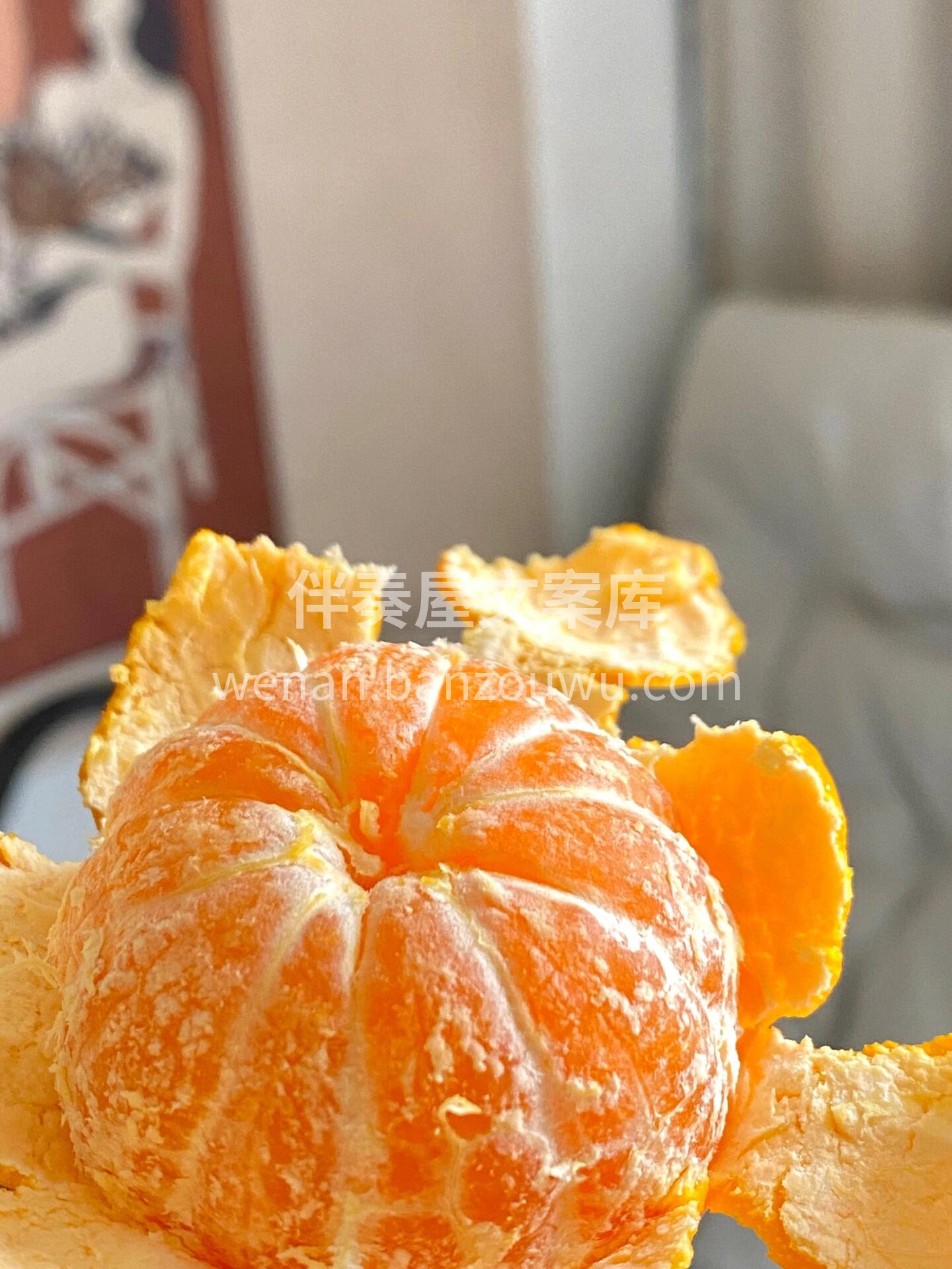 💯💯铛铛铛！克莱蒙软皮柑驾到🍊 橘子味超 配图1