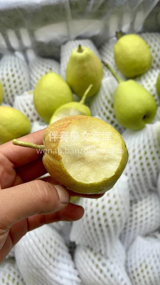 正宗库尔勒香梨🍐🆕 脆嫩多汁😍核小肉嫩， 配图1