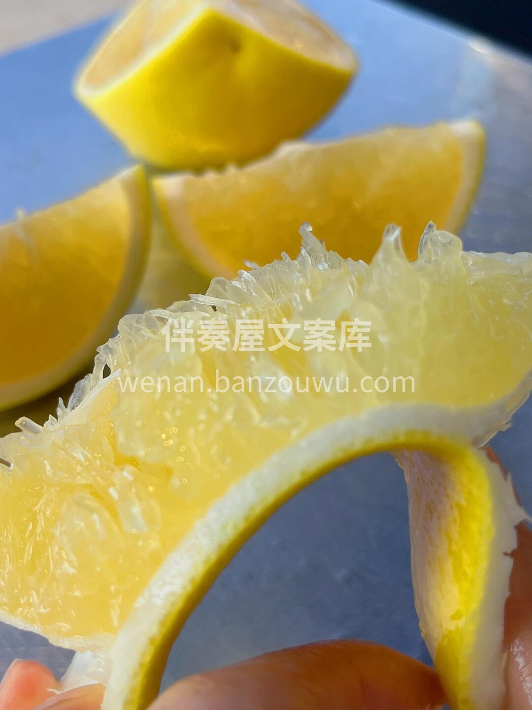 🌻黄金葡萄柚上架啦‼️‼️ 酸甜比例刚刚 配图1