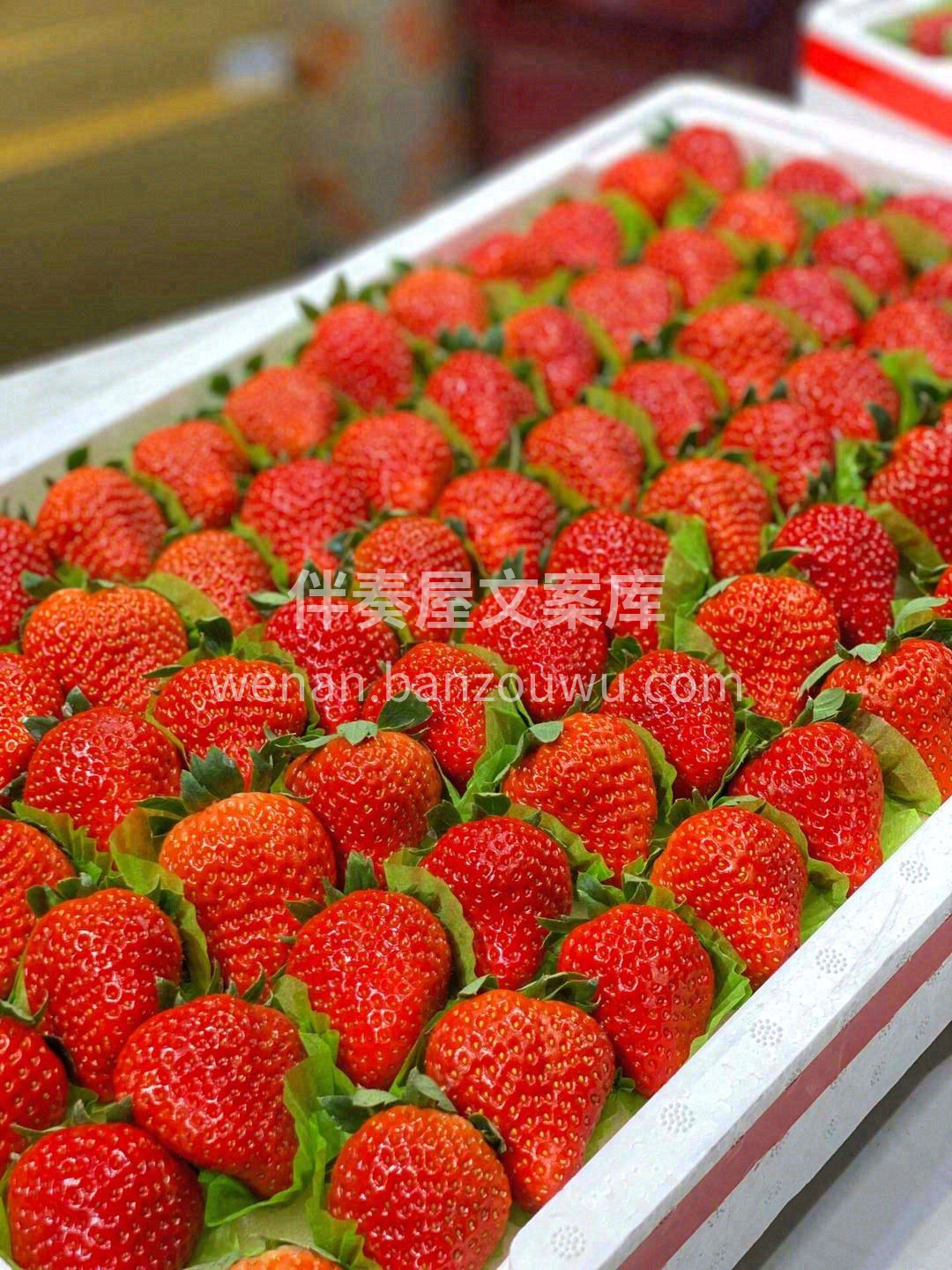 生活要有仪式感🎉 冬天的第一盒草莓🍓 给 配图2