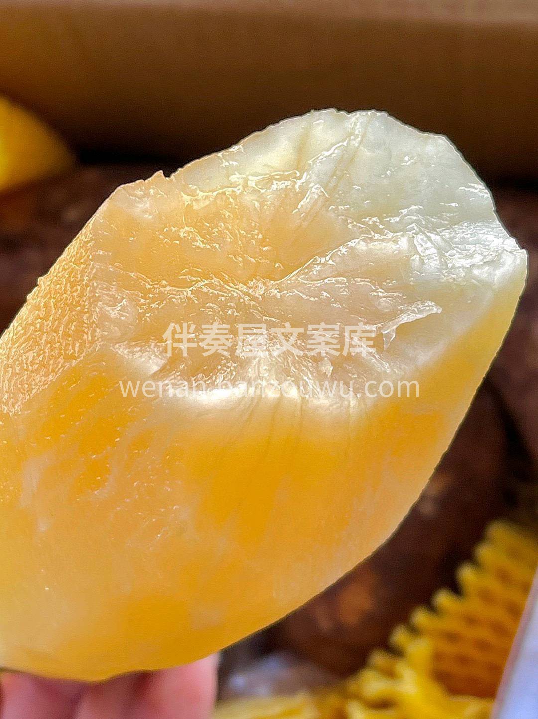 生吃，汁多嘎嘣脆🌈； 煨浓汤，加入排骨同 配图1