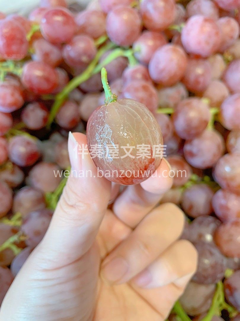 冬天的多汁💦担当 风味浓香，色泽靓丽，果 配图3
