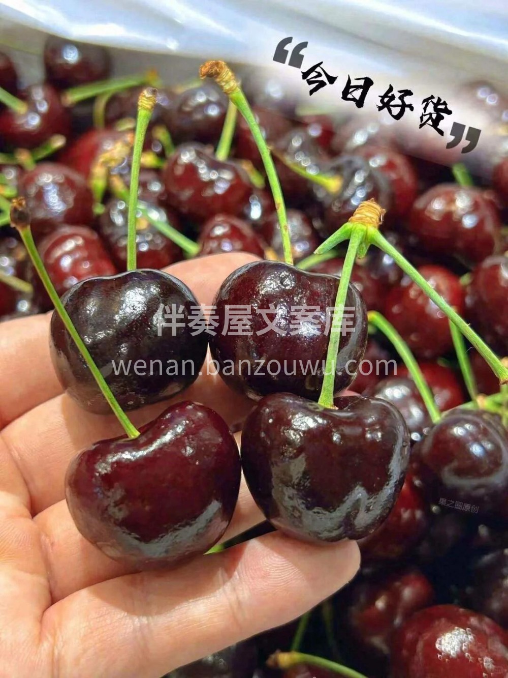 🍒【车厘子】新鲜到店‼颜值天花板～品相一 配图2