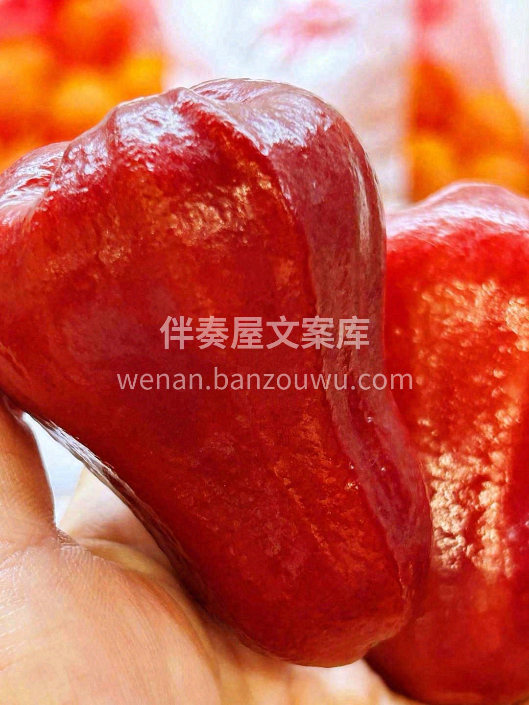 树上的矿泉水🧚，天然的巨型“洗肺机”💧💧 配图2