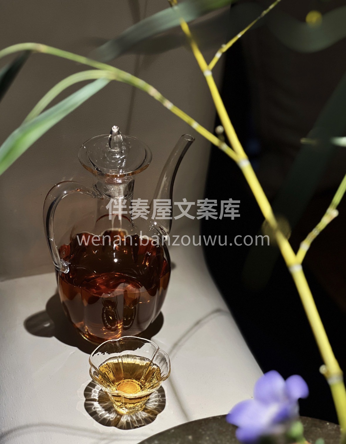 2026元旦臻礼｜🎁 古树红茶🍵采千年古 配图2