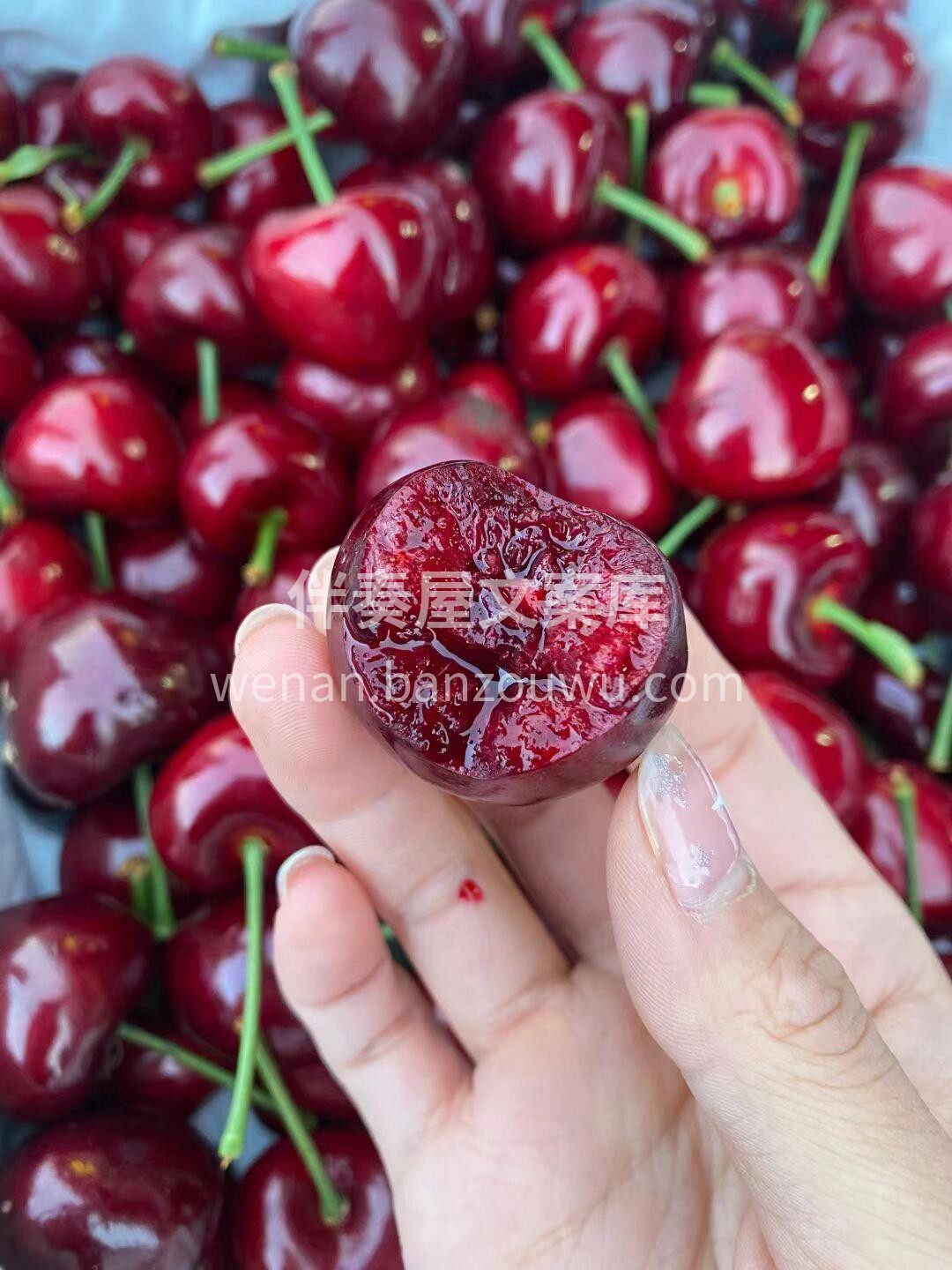 🍒一年一度的樱桃季已到来，樱桃界的皇后👍 配图1