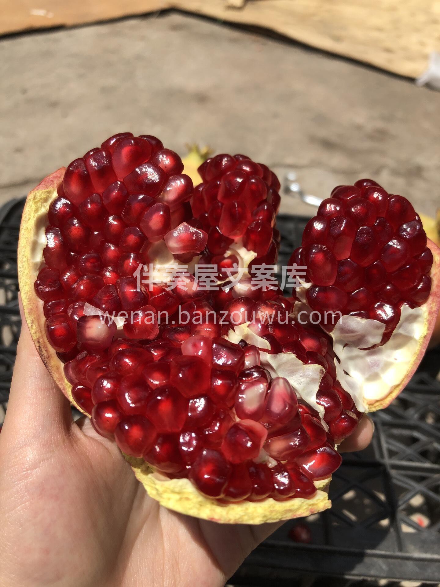 🍂论秋天水果的当家花旦🌹 还得是突尼斯软 配图1