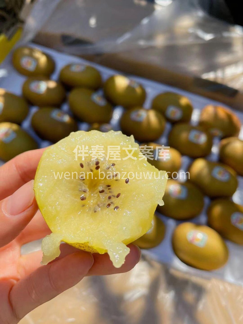 🇳🇿佳沛阳光☀️金果！ 🥝唯一不打农药的 配图1