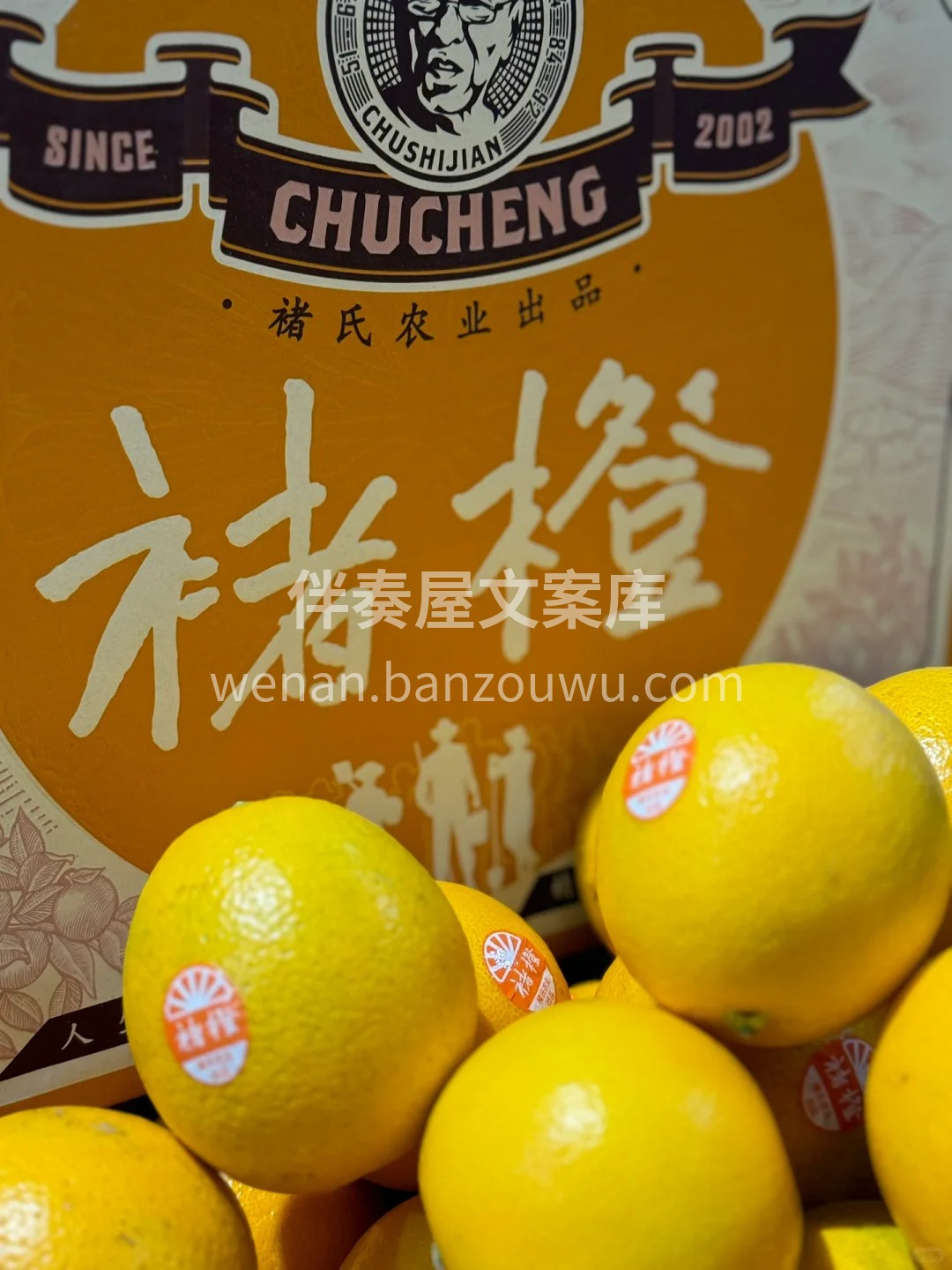 🍊人生总有起落 精神终可传承 🍊这是褚橙 配图2