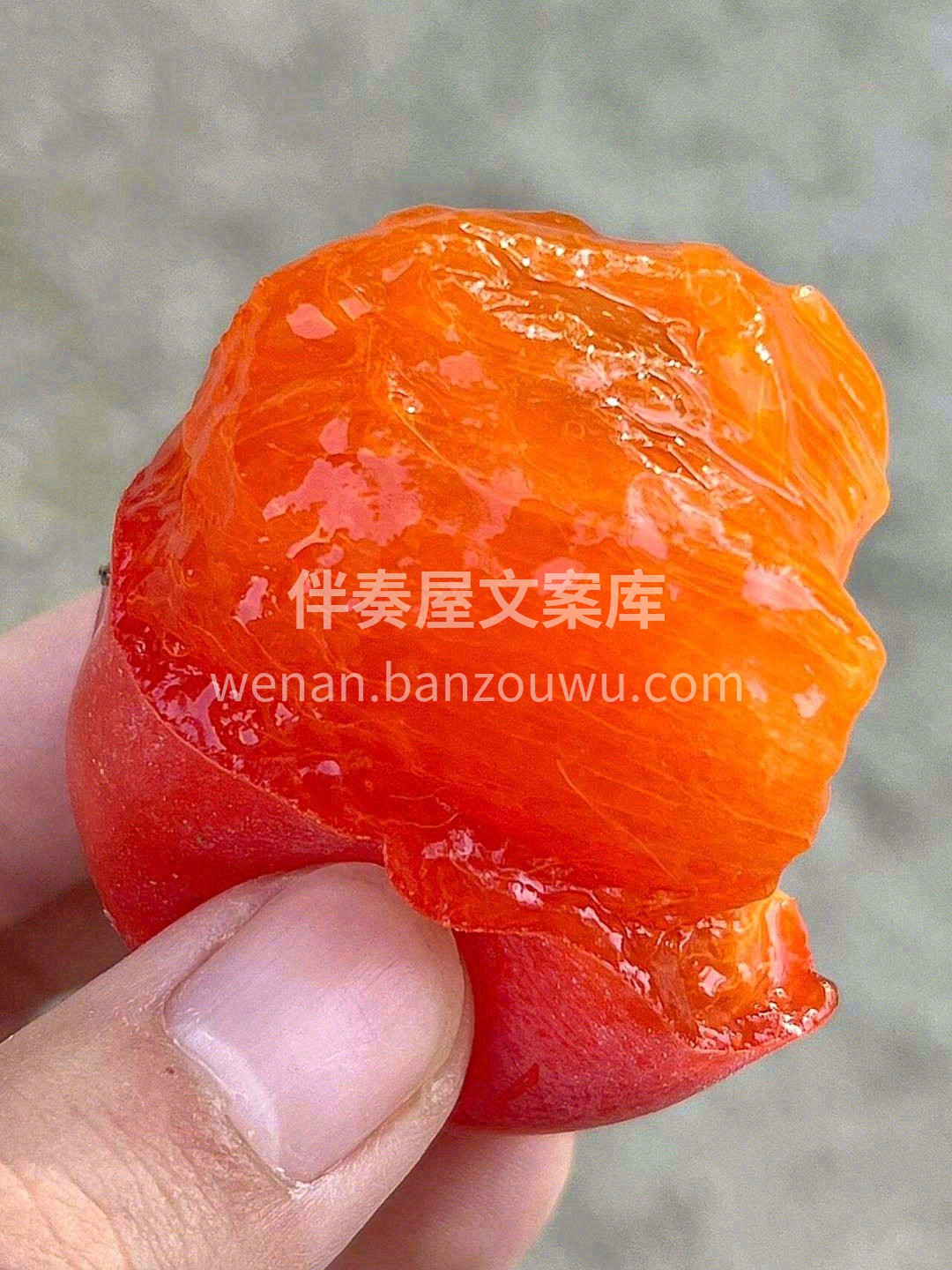 🍅今日推荐“七月黄柿子” 熟软后，无丝无 配图2