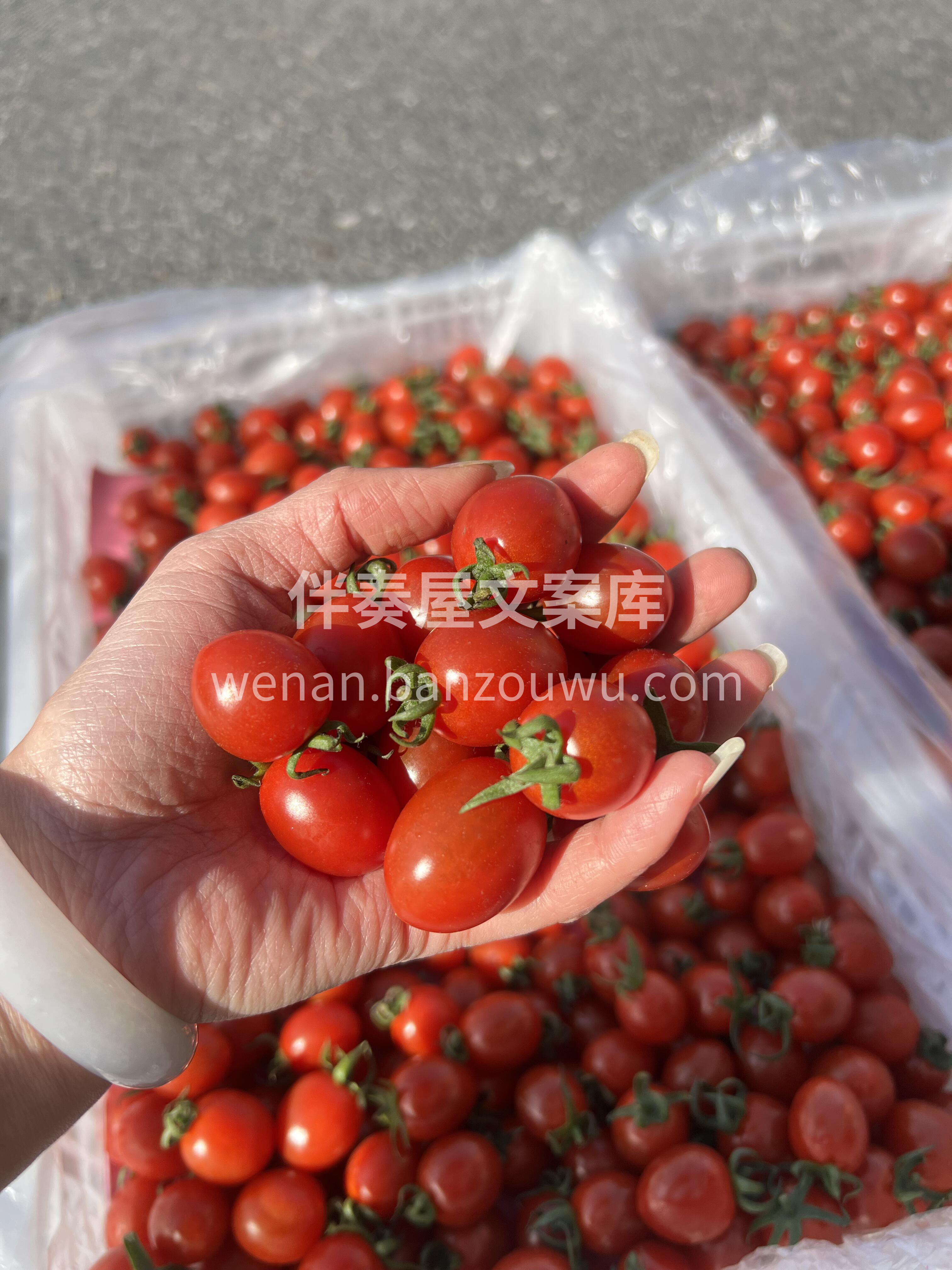 爆汁小甜王-千禧 😋🍅又甜又低卡 瘦身必 配图1