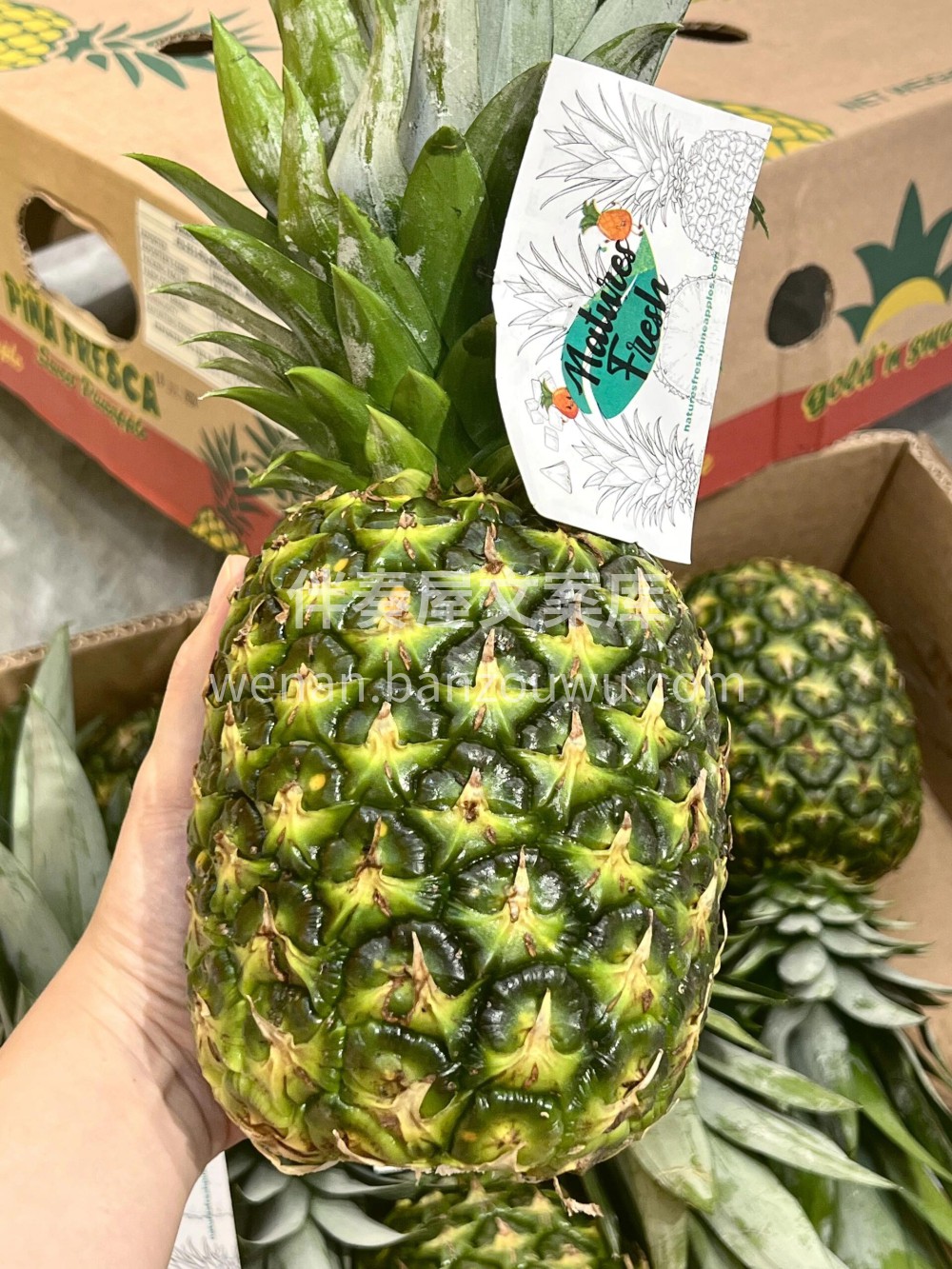 无需泡盐水，每一口都甜🍍 菲律宾🇵🇭特大 配图2
