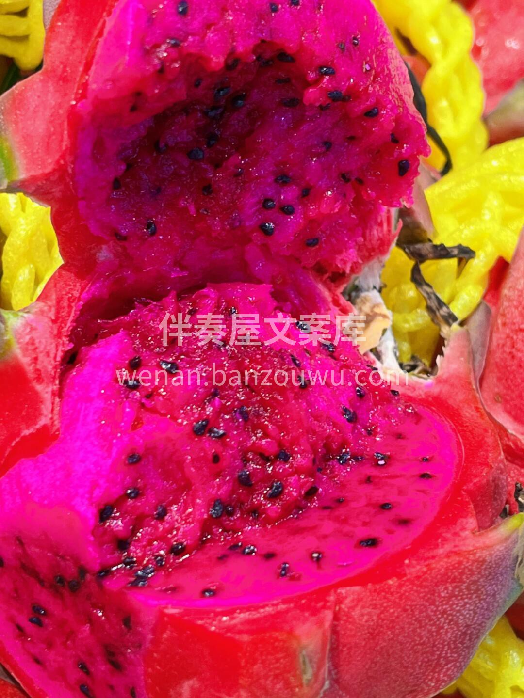 到新‼️【越南红心♥️火龙果】 拔下所有 配图3