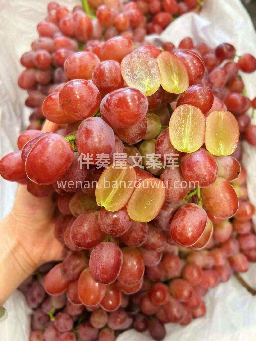 🍇入口酥脆，回味甜蜜 🍇不用吐籽，不用吐 配图1