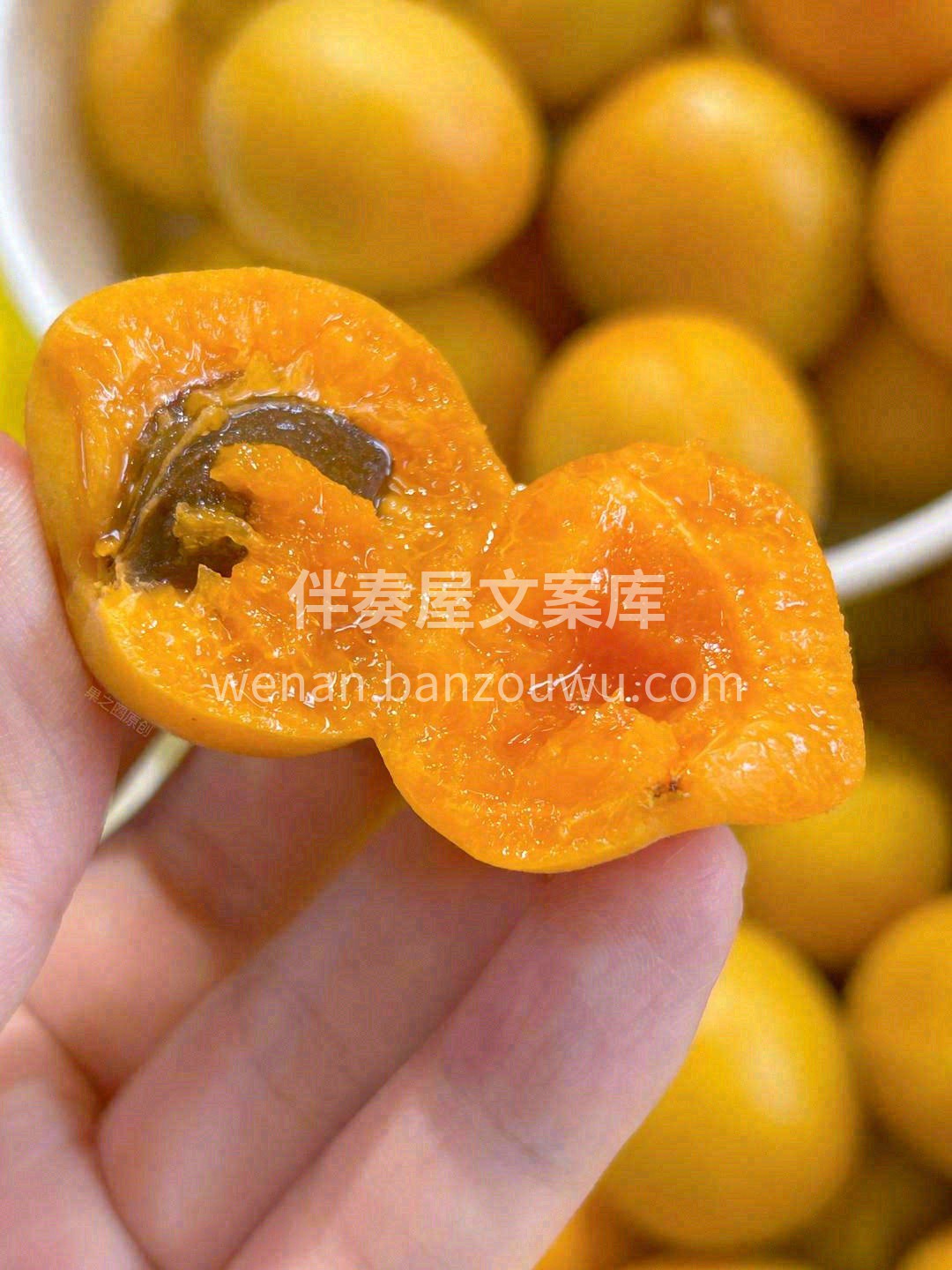 巨大的温差🌡️➕️超长的日照🌞➕️天山雪 配图2