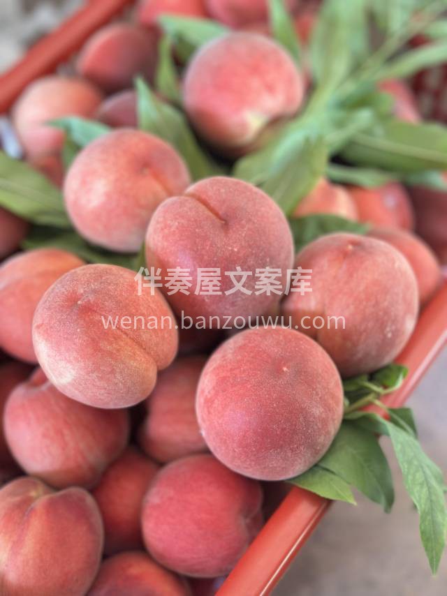 龙泉水蜜桃🍑 白里透红，水分饱满，汁多味 配图2