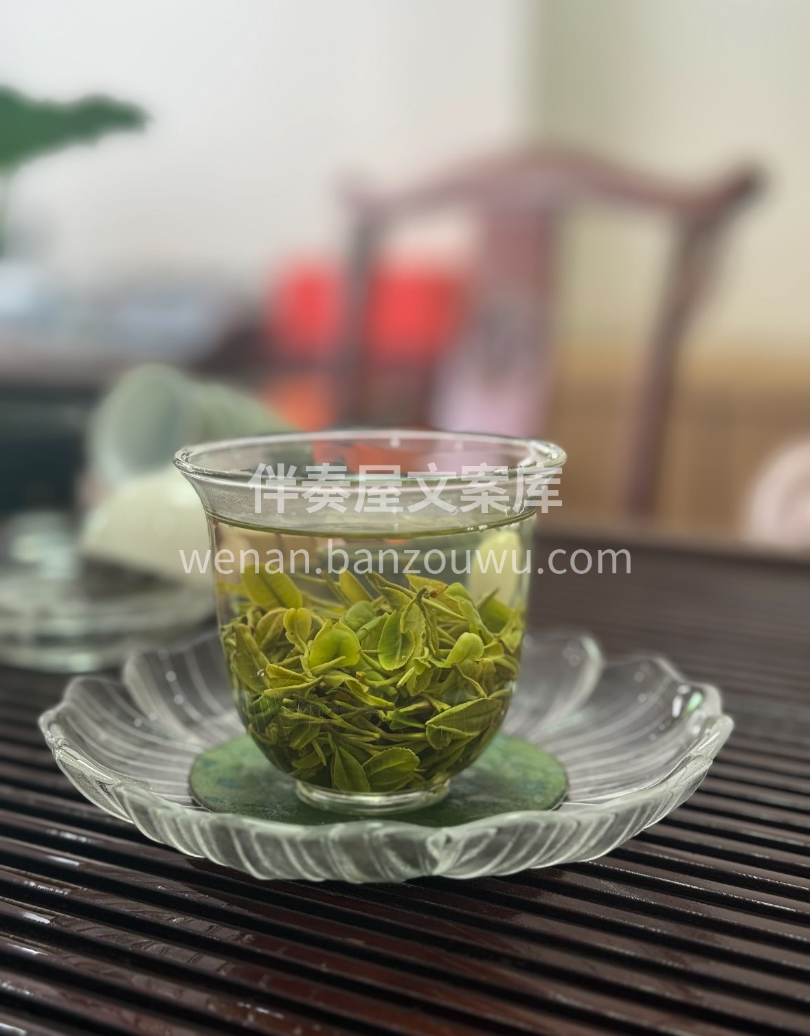 晨露浸润日照山，一芽一叶摘秋光。玻璃杯里 配图2