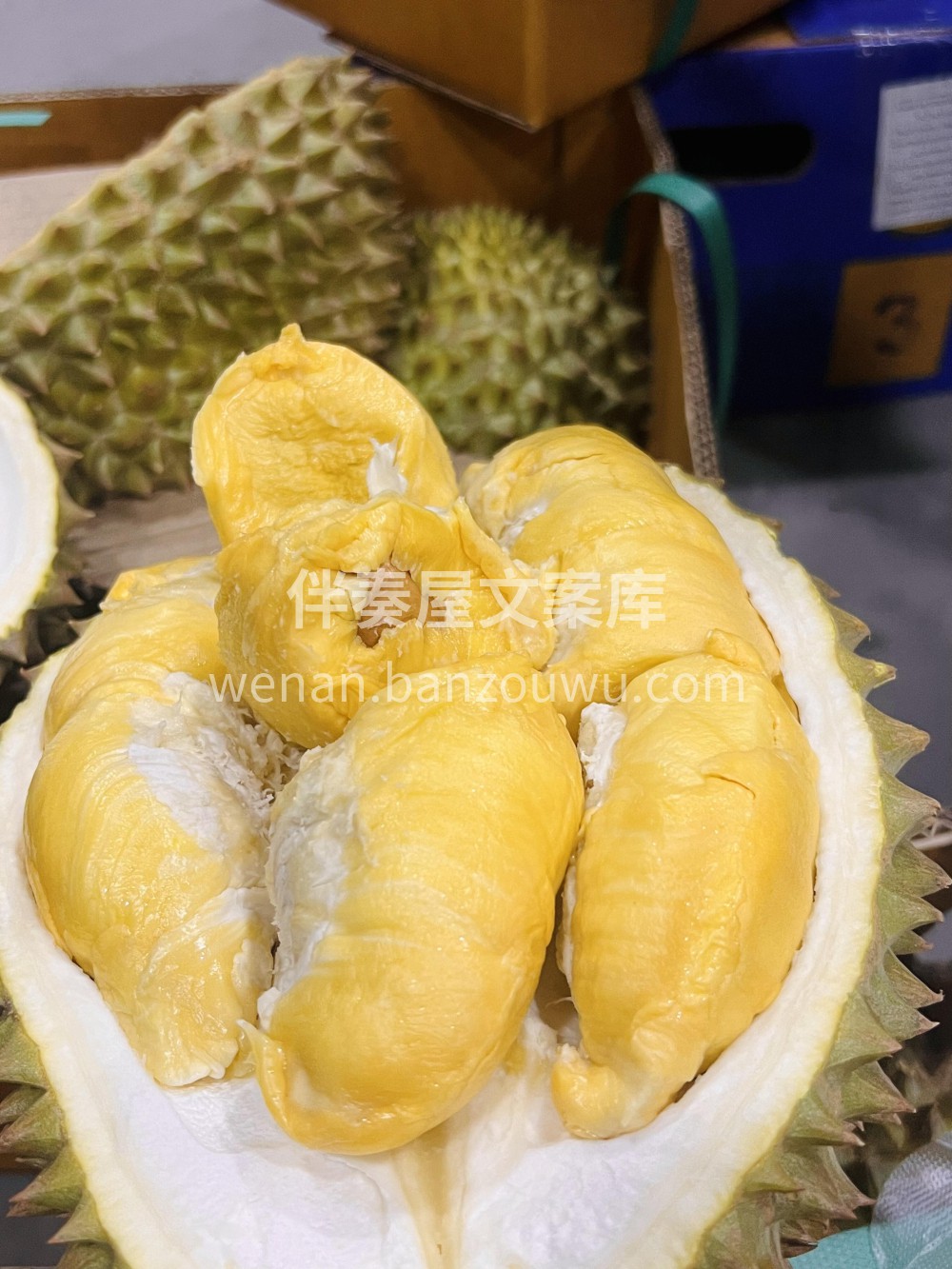 救命！挖到榴莲界的 “暗黑甜心”🍭家人们 配图3