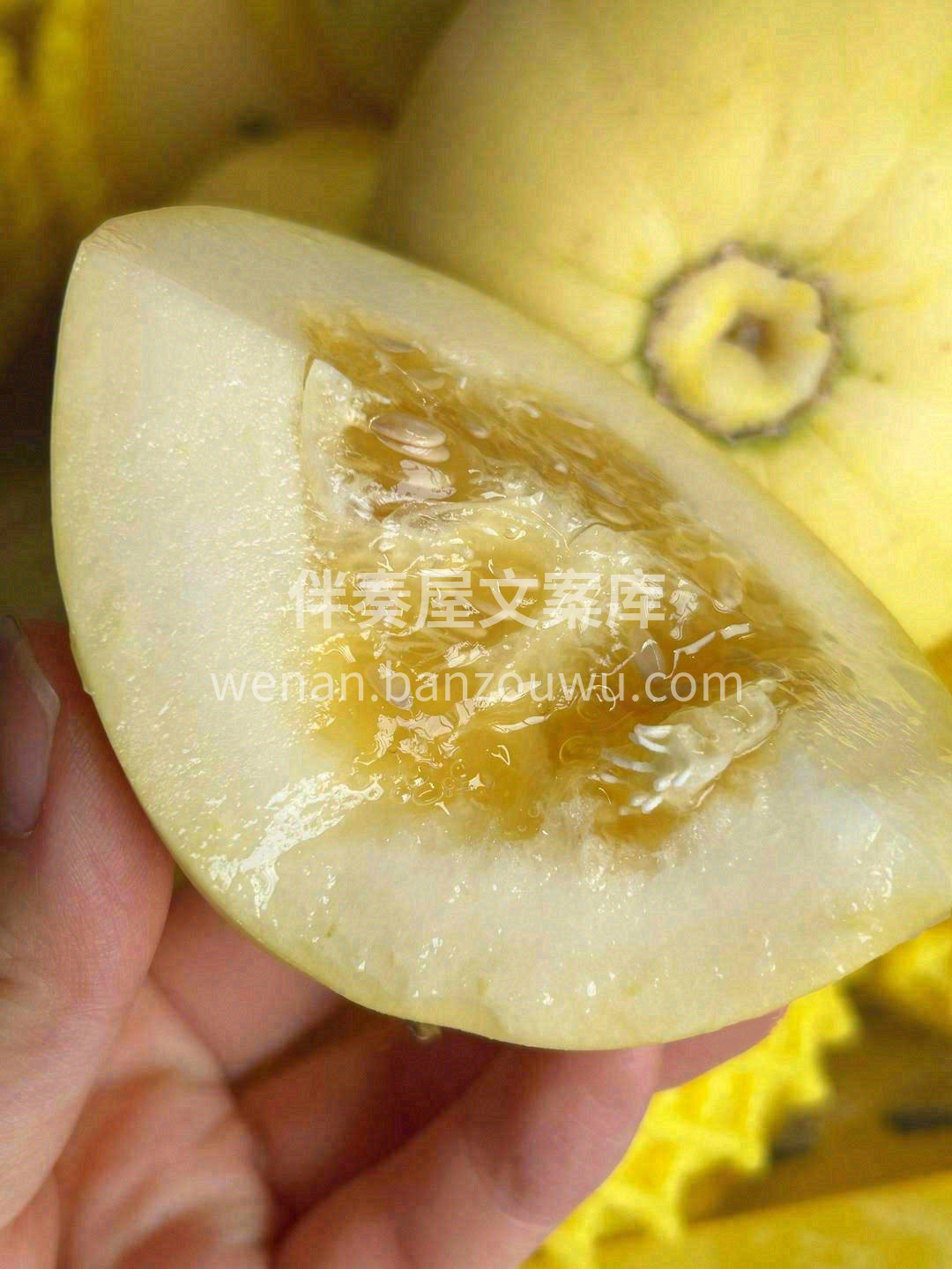秋天心情烦躁，来个白糖罐小甜瓜吧😍 香甜 配图1