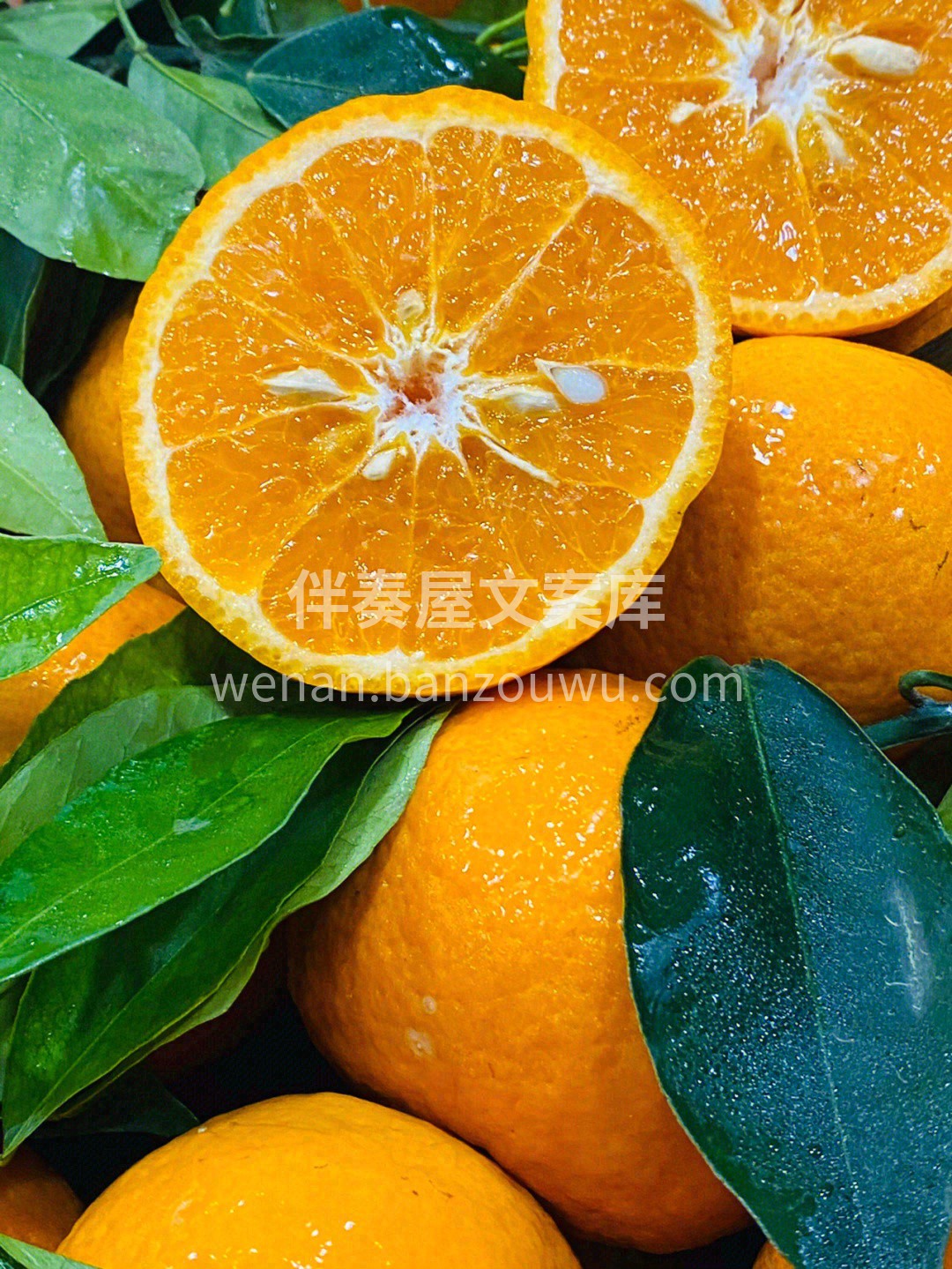 🍊鼻尖轻轻嗅一嗅，自然的气息便会扑面而来 配图2