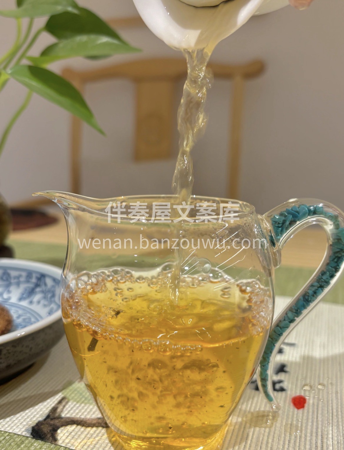 喝过这杯铁观音，才知道什么叫“观音韵”！ 配图2
