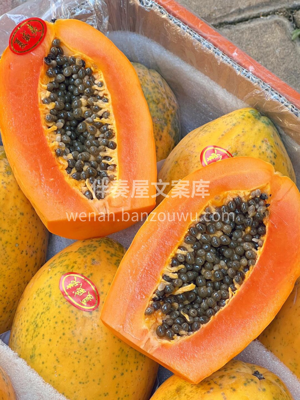 ✨像冰糖🧊一样甜的木瓜👍海南🌴树熟牛奶木 配图1