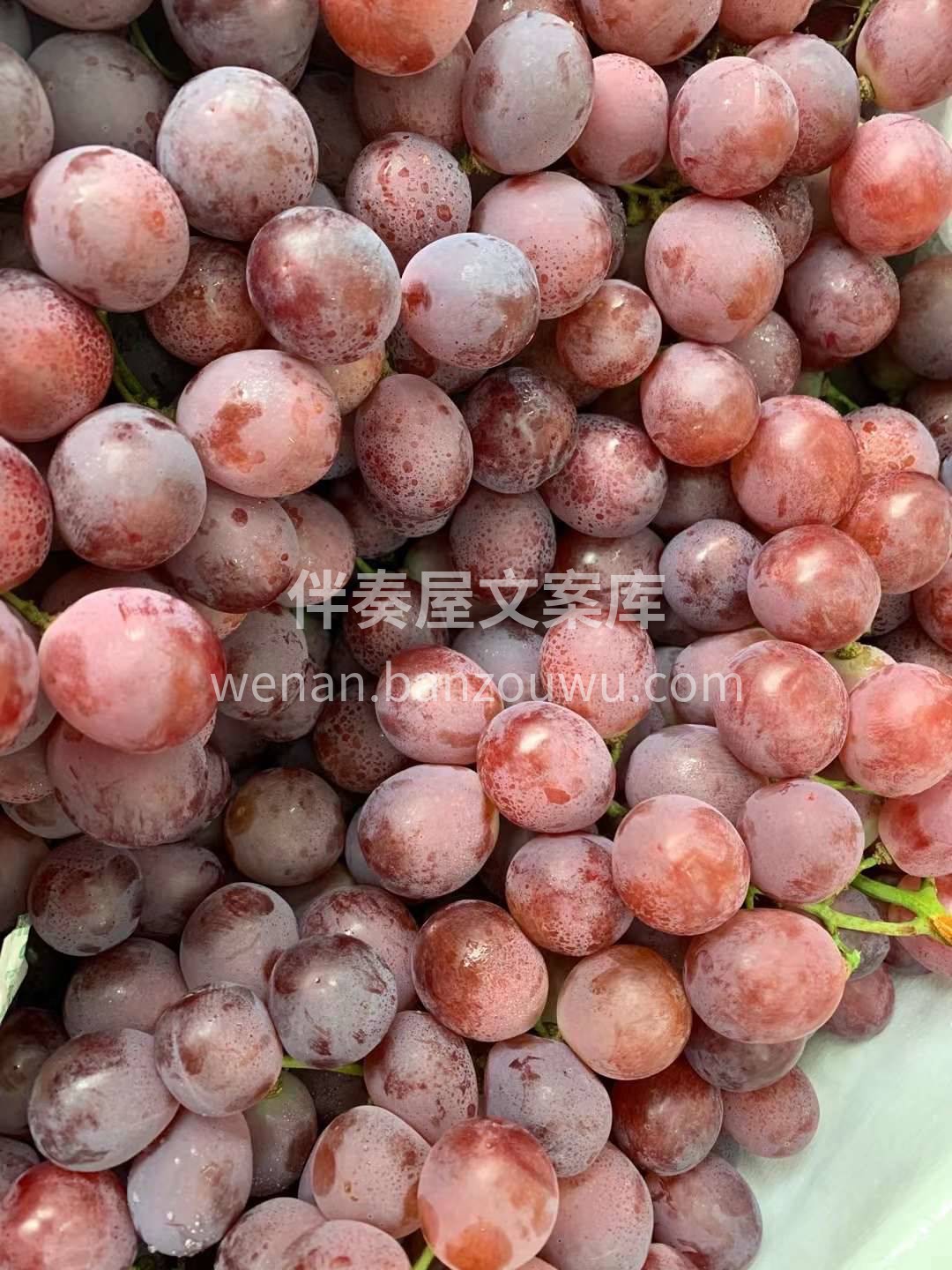 “硬货”到了！吃红提的季节来咯🍇 红提圆 配图2