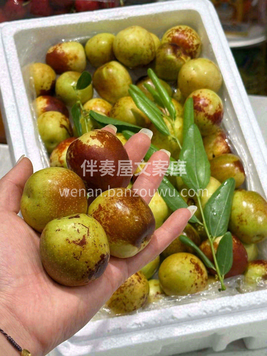 💥嘎嘣！一声脆响，满口甜香，清爽无比🌊  配图1
