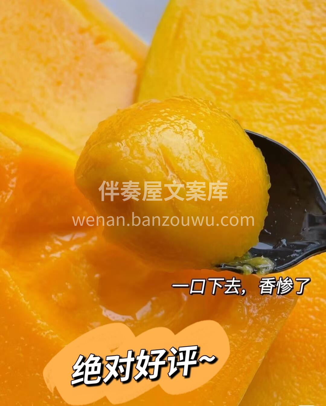 👑芒果中的贵族“芒果之王”——海南金煌芒 配图1