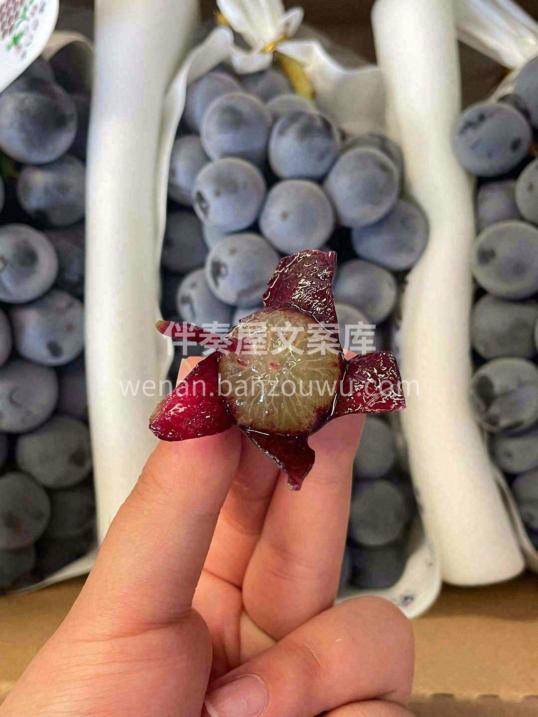 蓝莓和葡萄的混合体🍷，富含丰富花青素🍇， 配图1