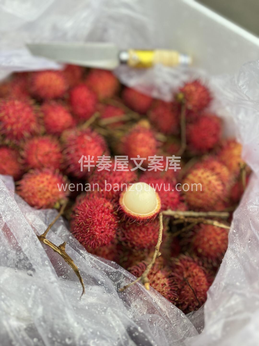 进口红毛丹越南🇻🇳进口 红毛丹来咯！ 口 配图2