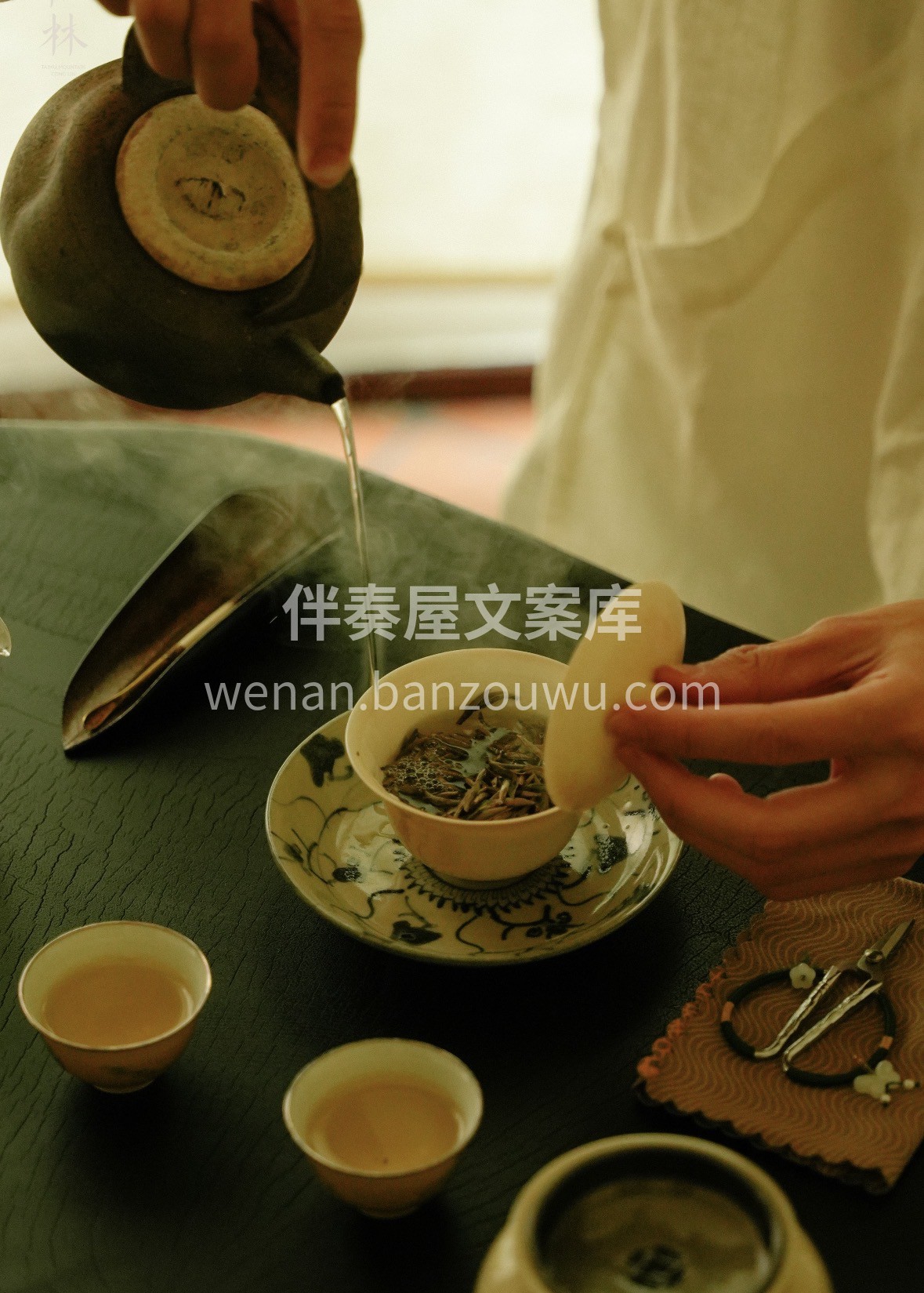✨一杯福鼎白茶，藏着岁月温柔。以茶会友， 配图2