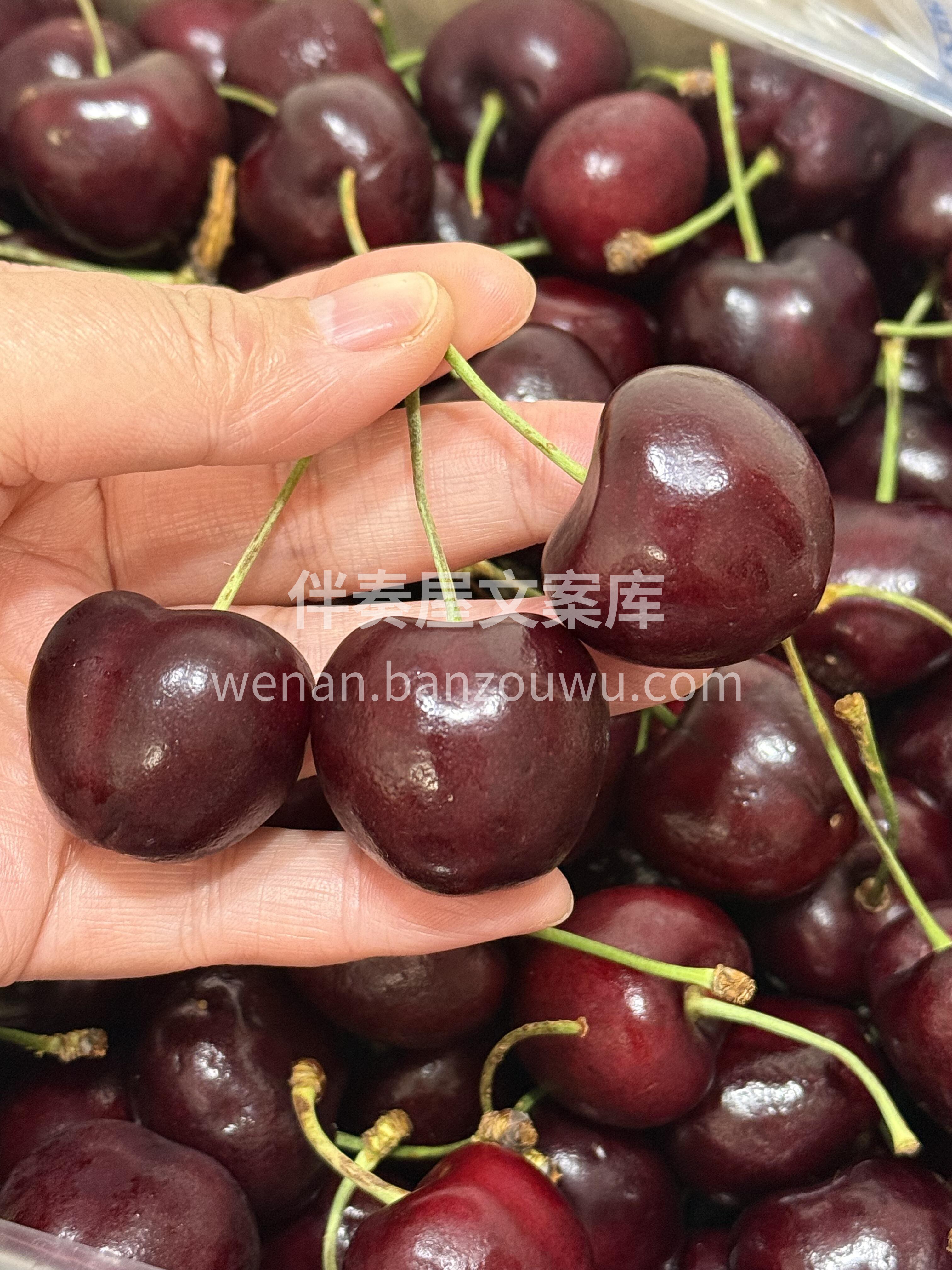 智力车厘子新鲜到货啦~ 核小汁浓‼️脆甜 配图2